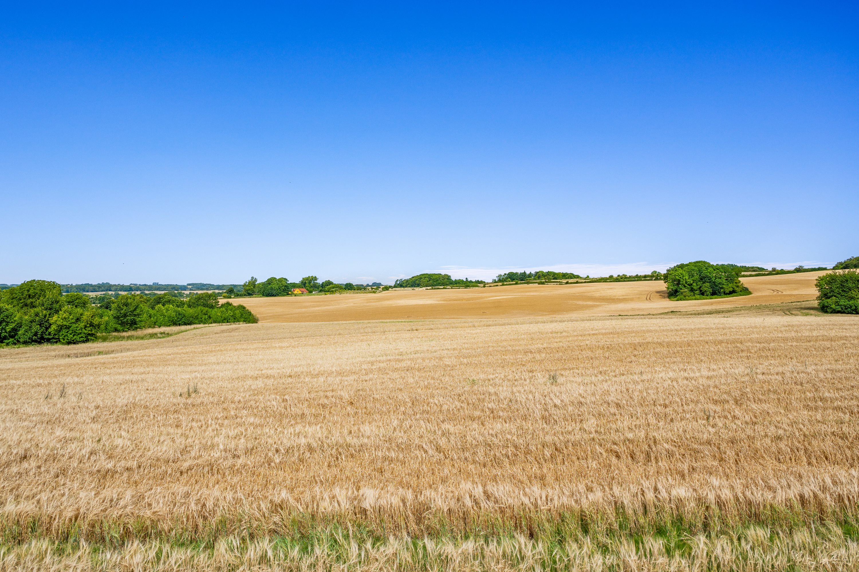 Fremhævet omgivelser billede i fuldskærmstilstand. Billede af Skolemarken 19, Grønfeld, 8400 Ebeltoft