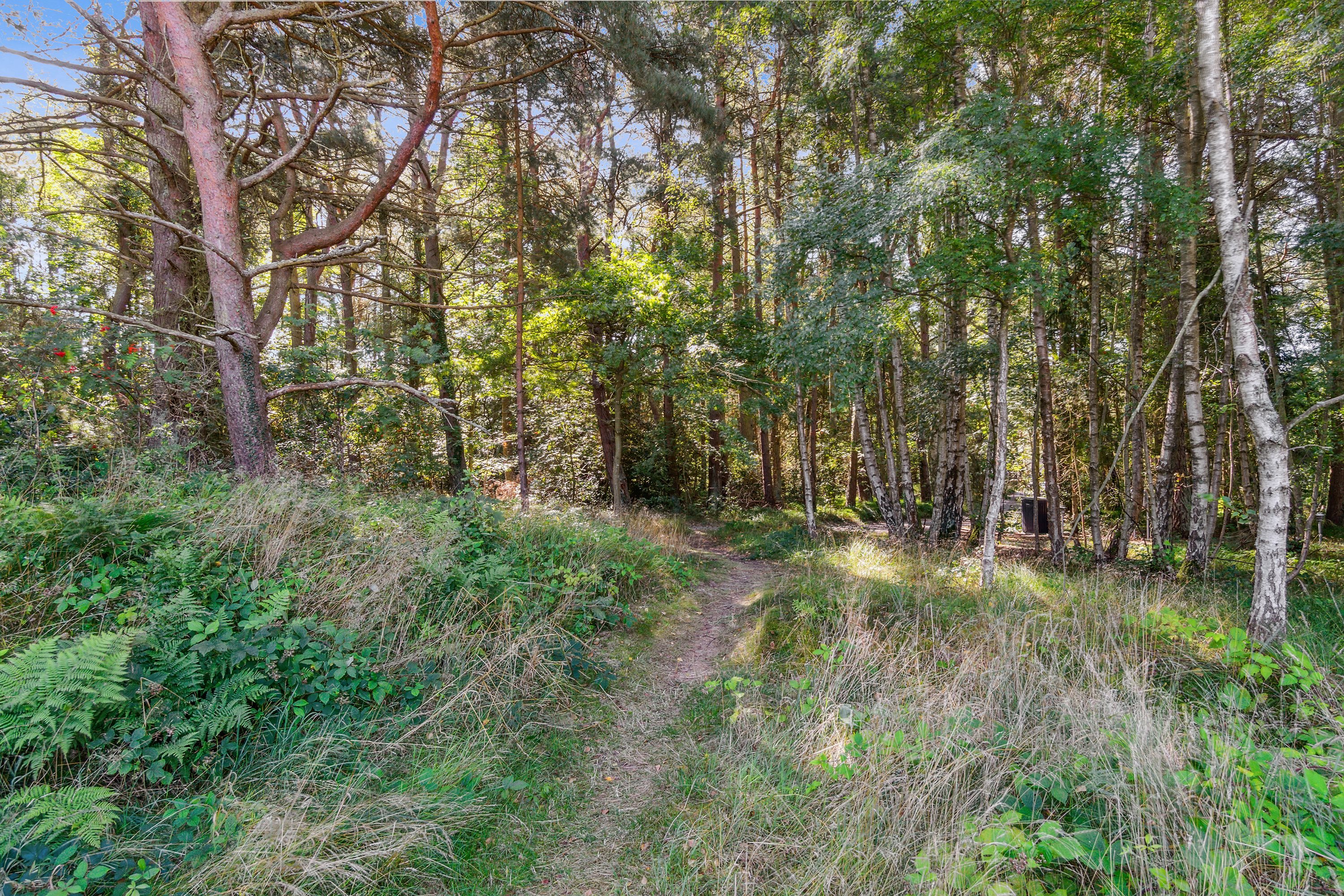 Fremhævet  billede i fuldskærmstilstand. Billede af Sømarkshusene 13, Pedersker, 3720 Aakirkeby