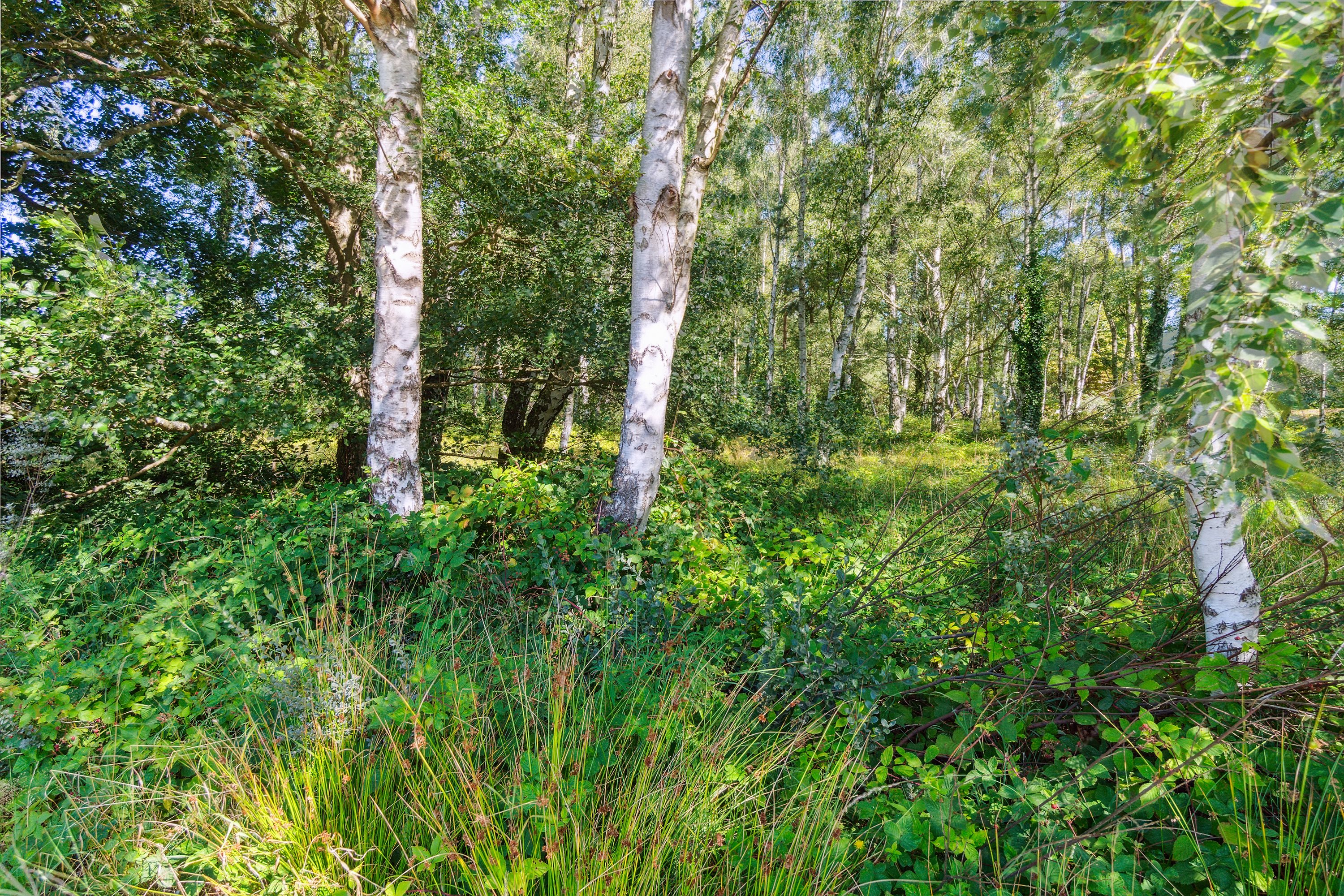 Fremhævet  billede i fuldskærmstilstand. Billede af Sømarkshusene 13, Pedersker, 3720 Aakirkeby