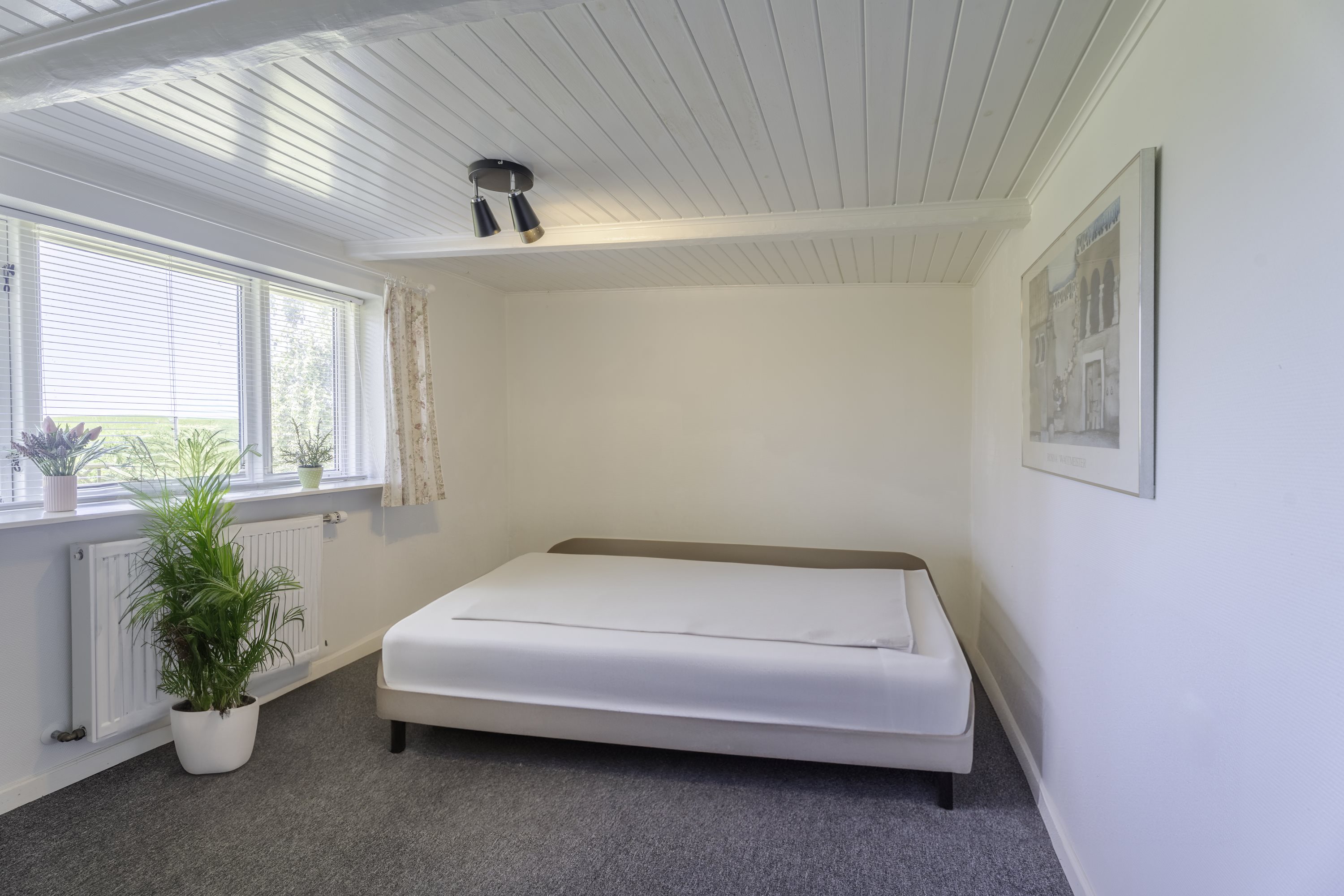 Fremhævet  billede i fuldskærmstilstand. Billede af Langemosevej 25, Langemose, 5610 Assens