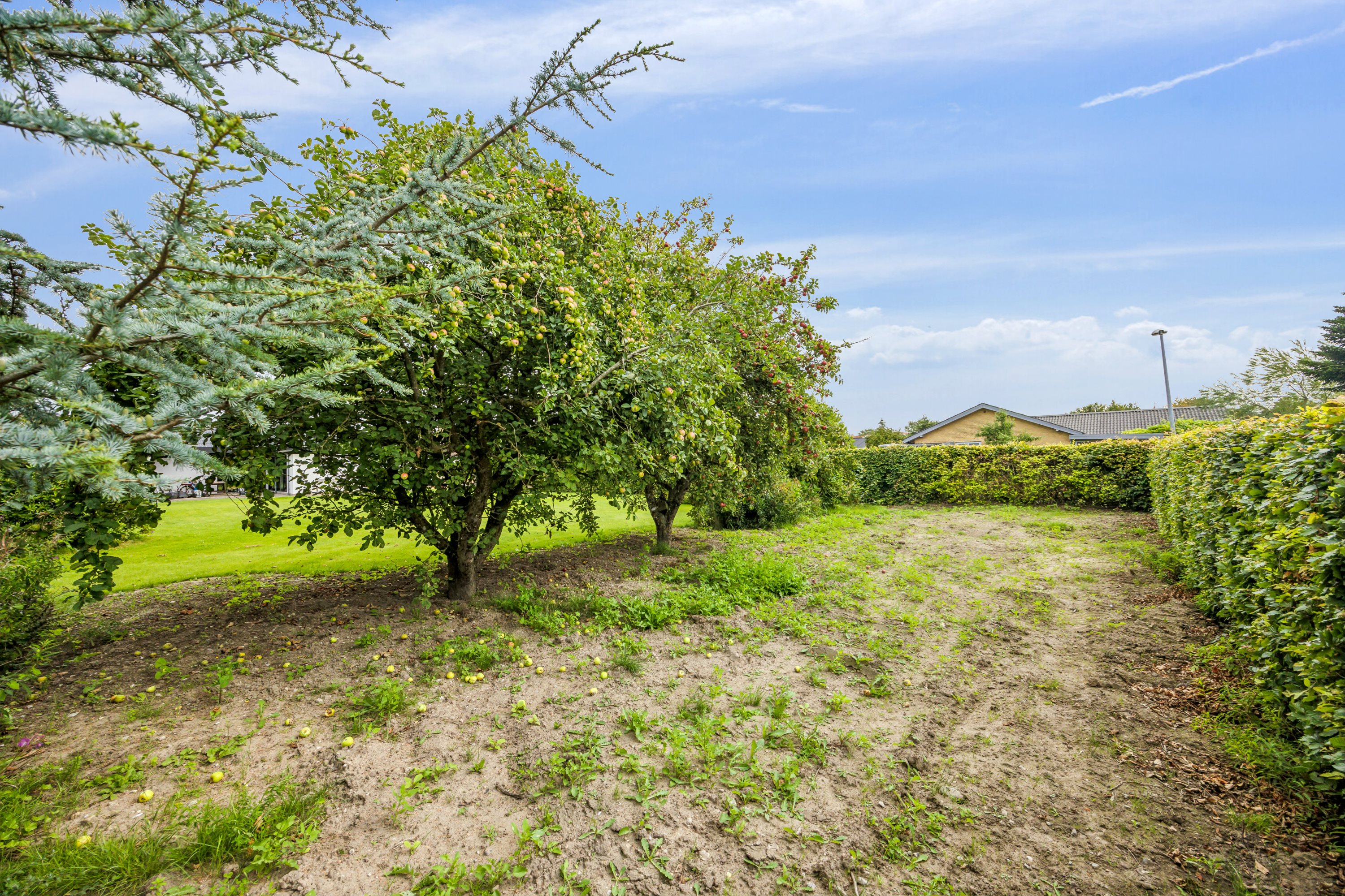 Miniaturebillede 1: have. Billede af Gartnerkrogen 6, 9381 Sulsted