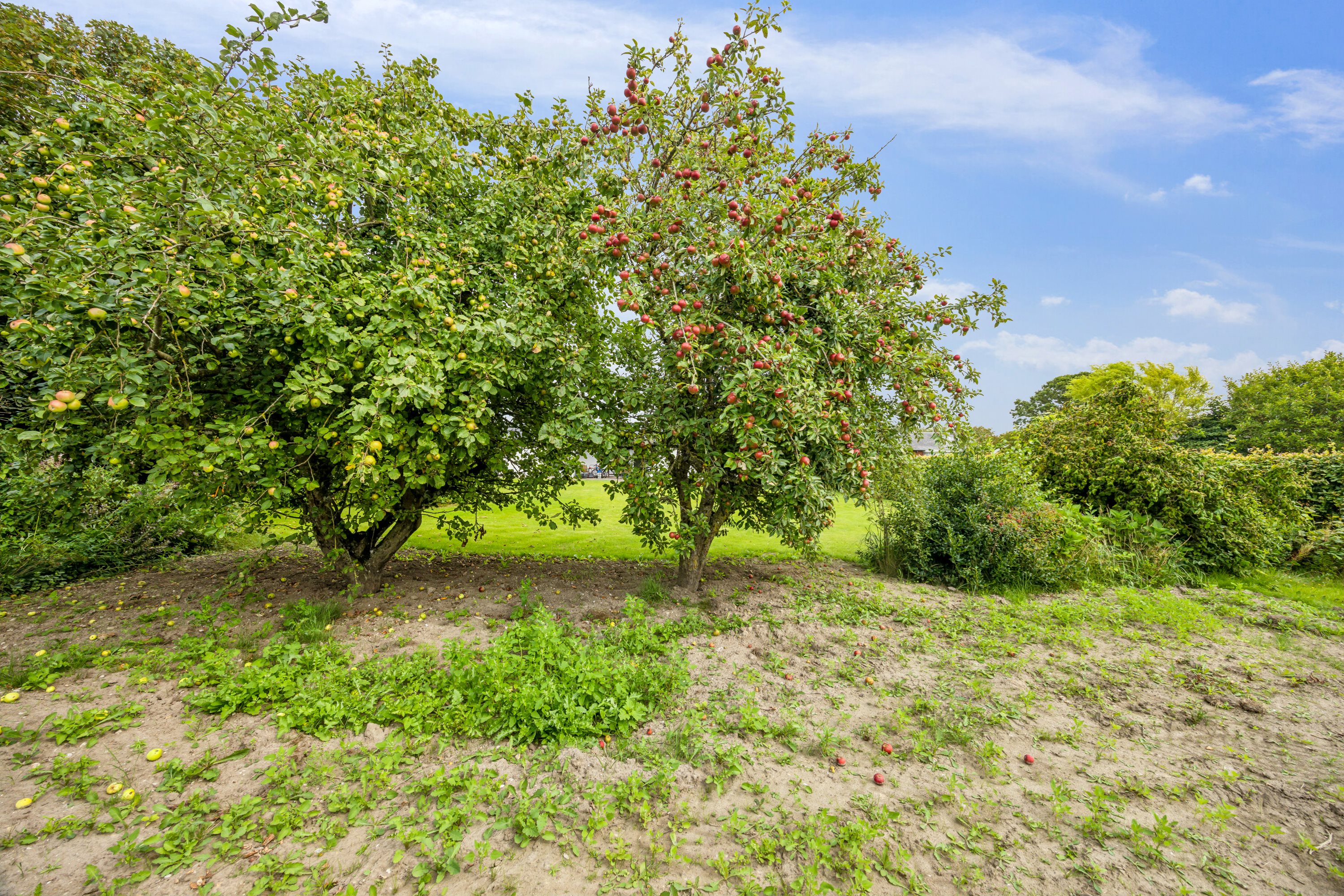 Fremhævet udsigt billede i fuldskærmstilstand. Billede af Gartnerkrogen 6, 9381 Sulsted