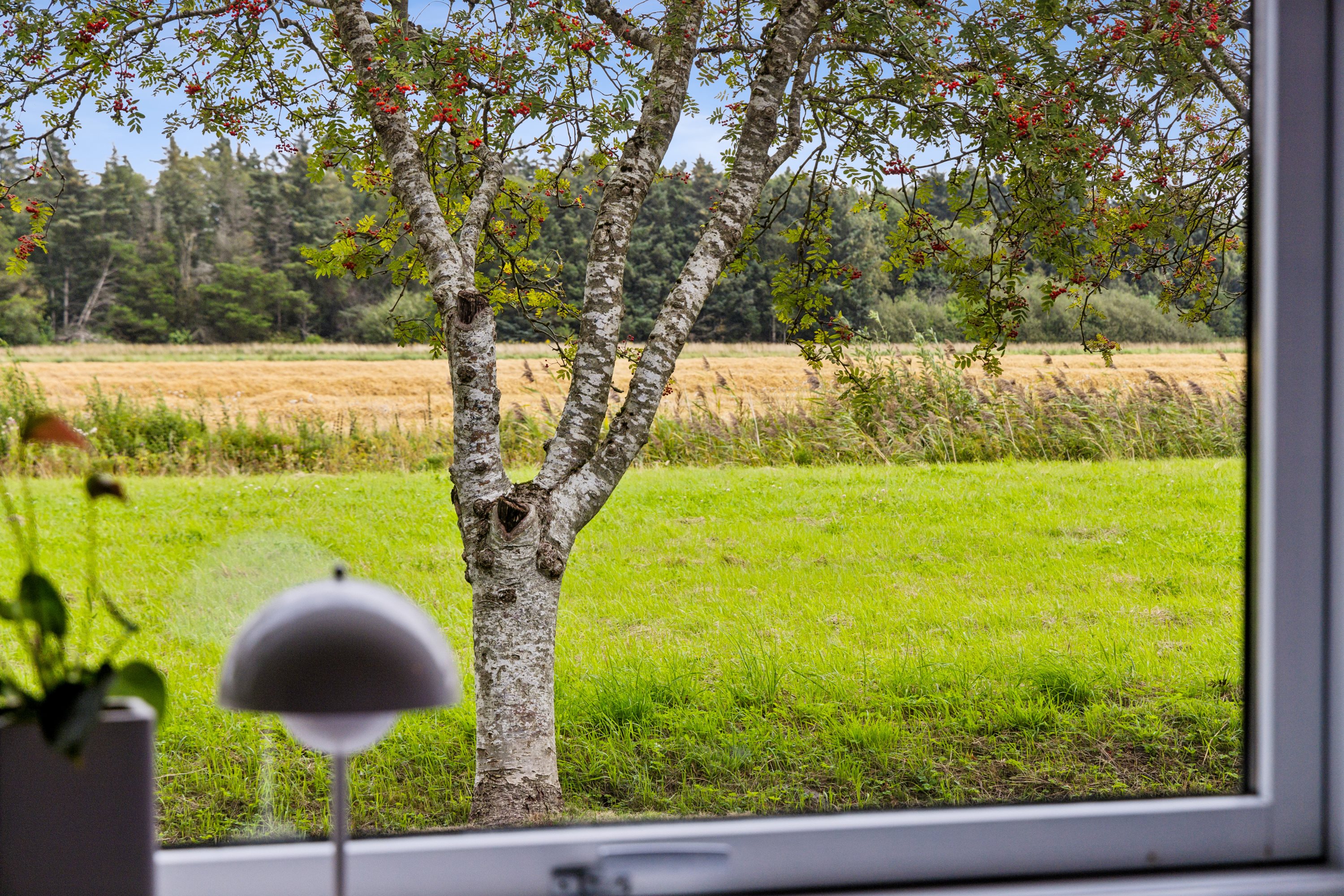 Fremhævet udsigt billede i fuldskærmstilstand. Billede af Tranekærvej 91, Kaas, 9490 Pandrup