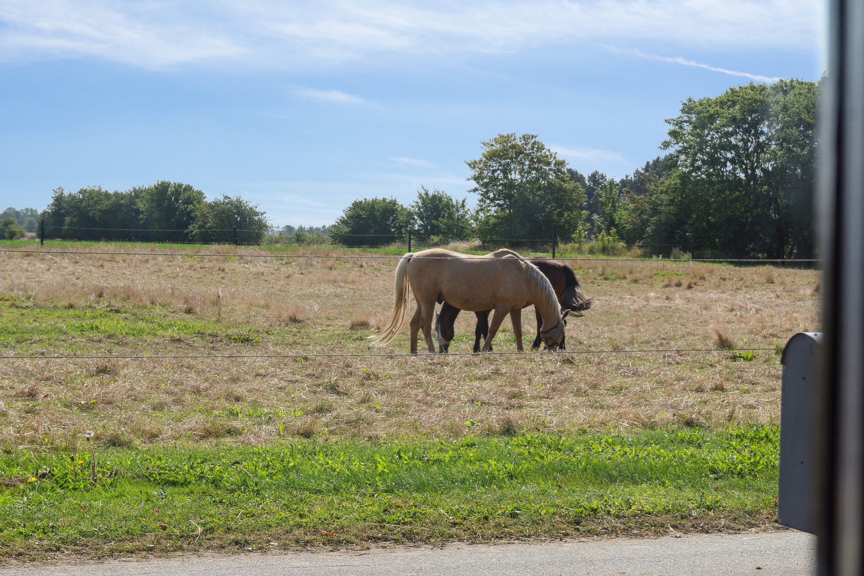 Fremhævet udsigt billede i fuldskærmstilstand. Billede af Svinøvej 146, 4750 Lundby