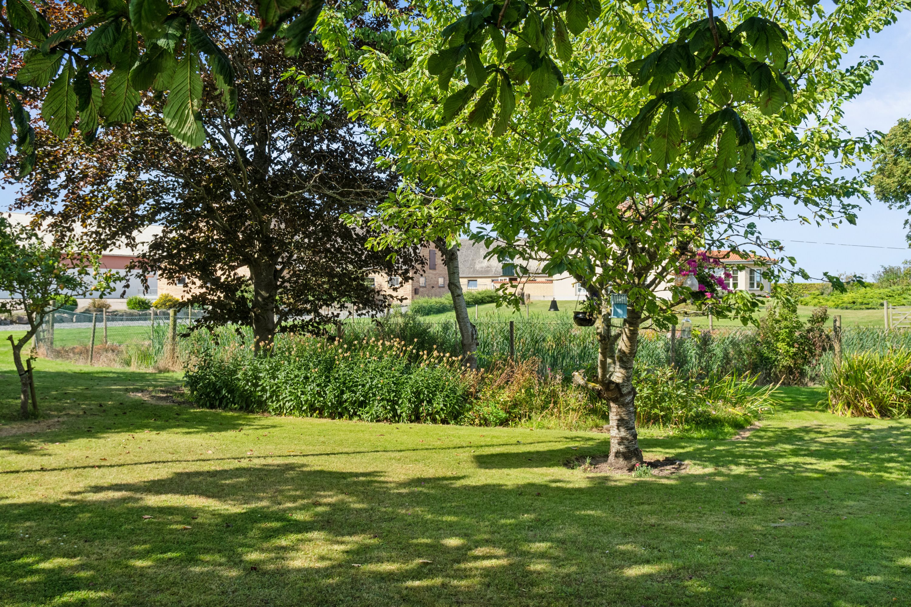 Fremhævet udendørs billede i fuldskærmstilstand. Billede af Svinøvej 146, 4750 Lundby