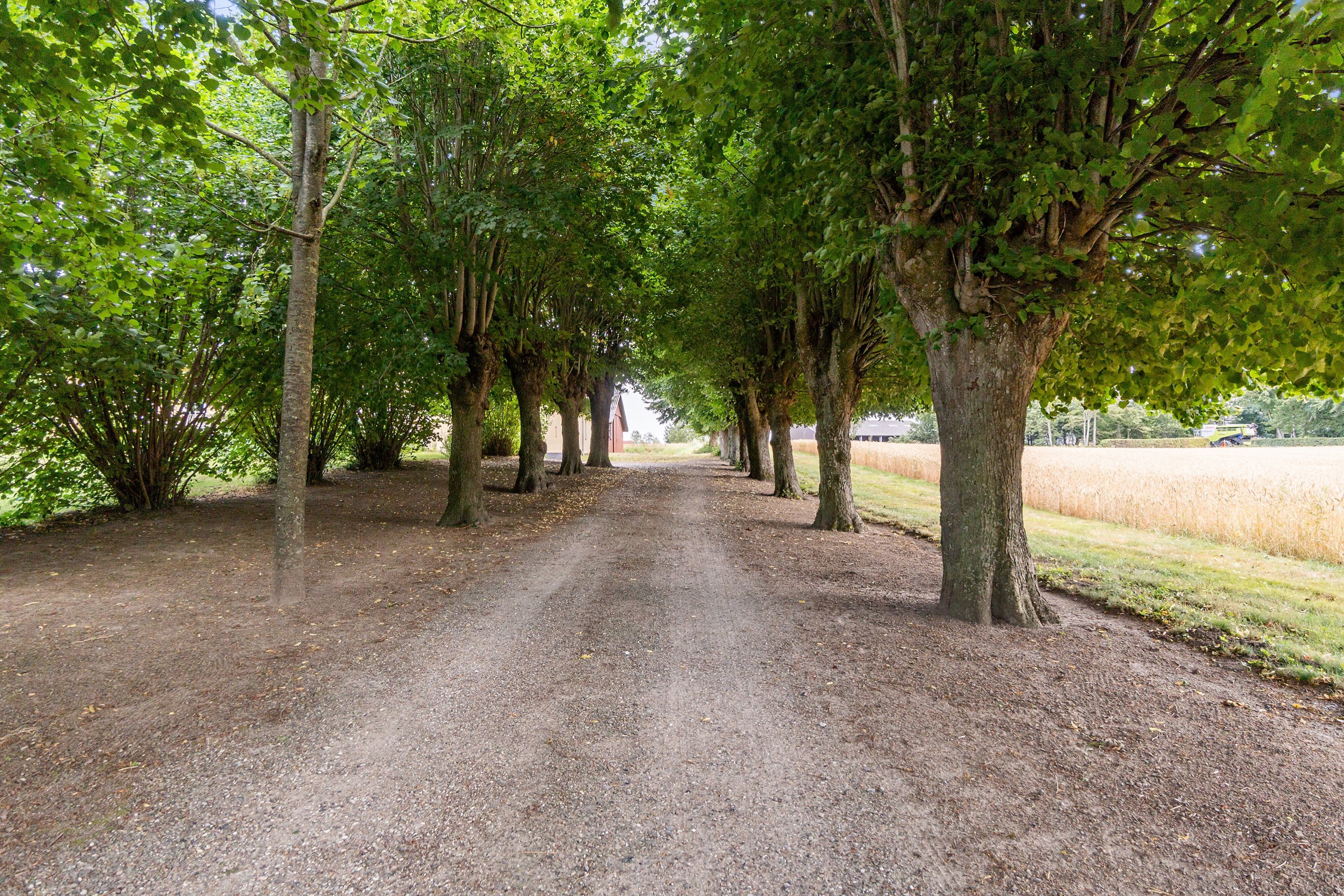 Fremhævet  billede i fuldskærmstilstand. Billede af Langgade 74, Flemløse, 5620 Glamsbjerg