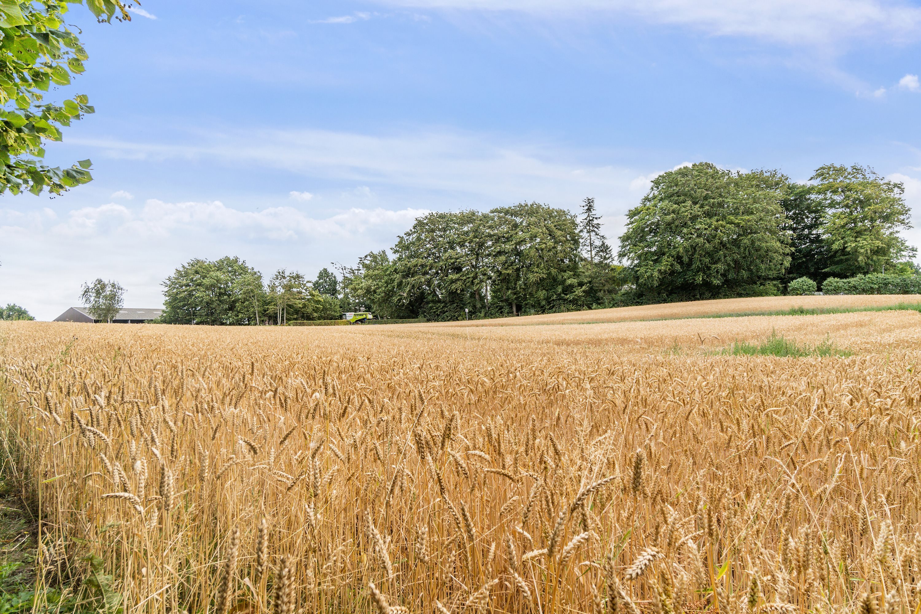 Fremhævet  billede i fuldskærmstilstand. Billede af Langgade 74, Flemløse, 5620 Glamsbjerg