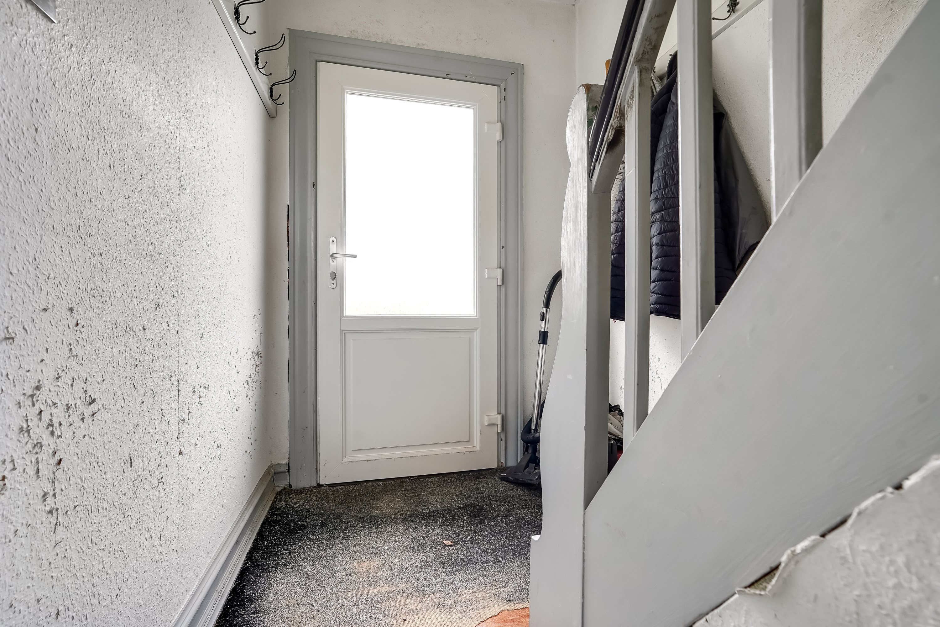 Fremhævet entré billede i fuldskærmstilstand. Billede af Gelsted Mose 14, Gelsted Mose, 5591 Gelsted