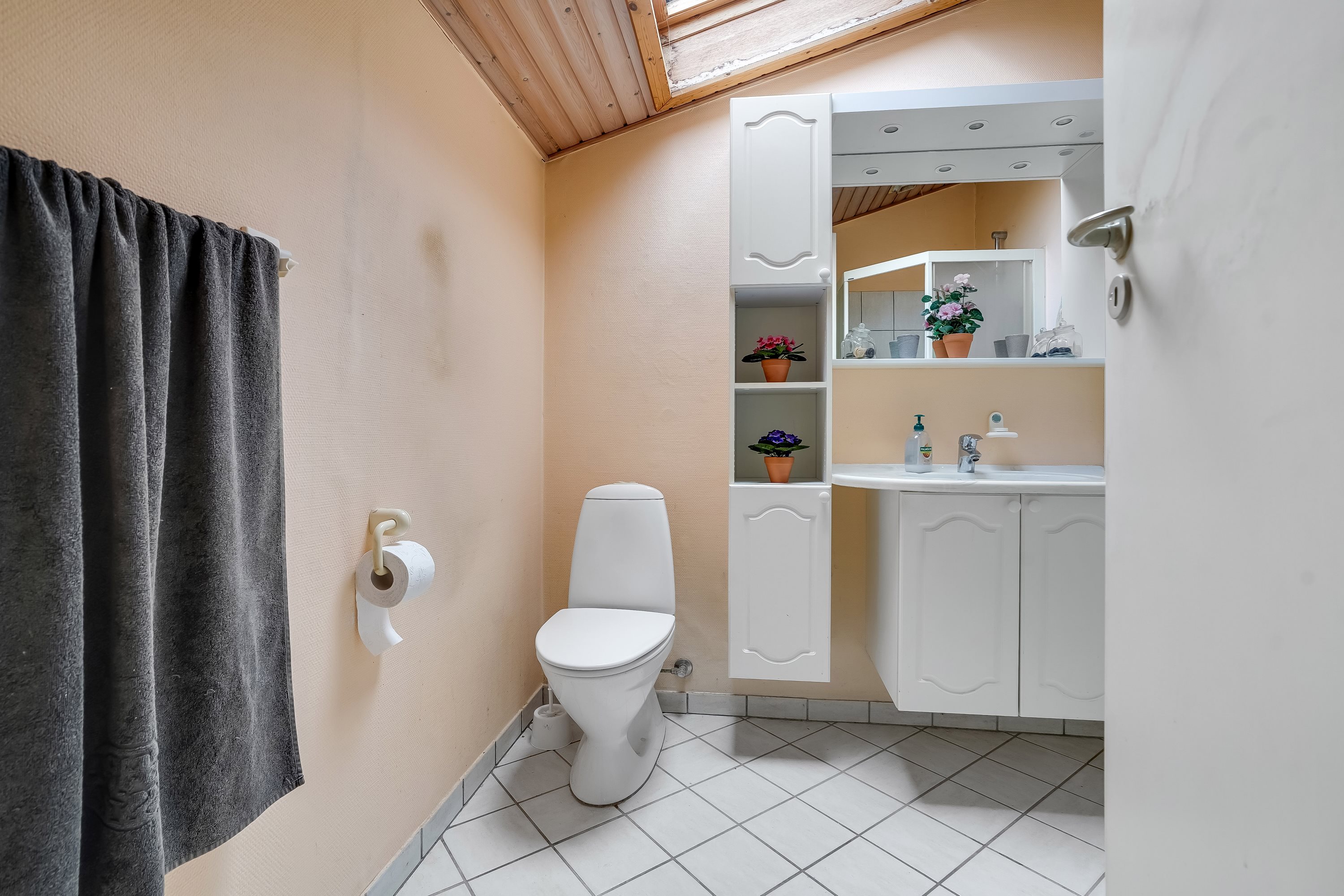 Fremhævet toilet billede i fuldskærmstilstand. Billede af Gelsted Mose 14, Gelsted Mose, 5591 Gelsted