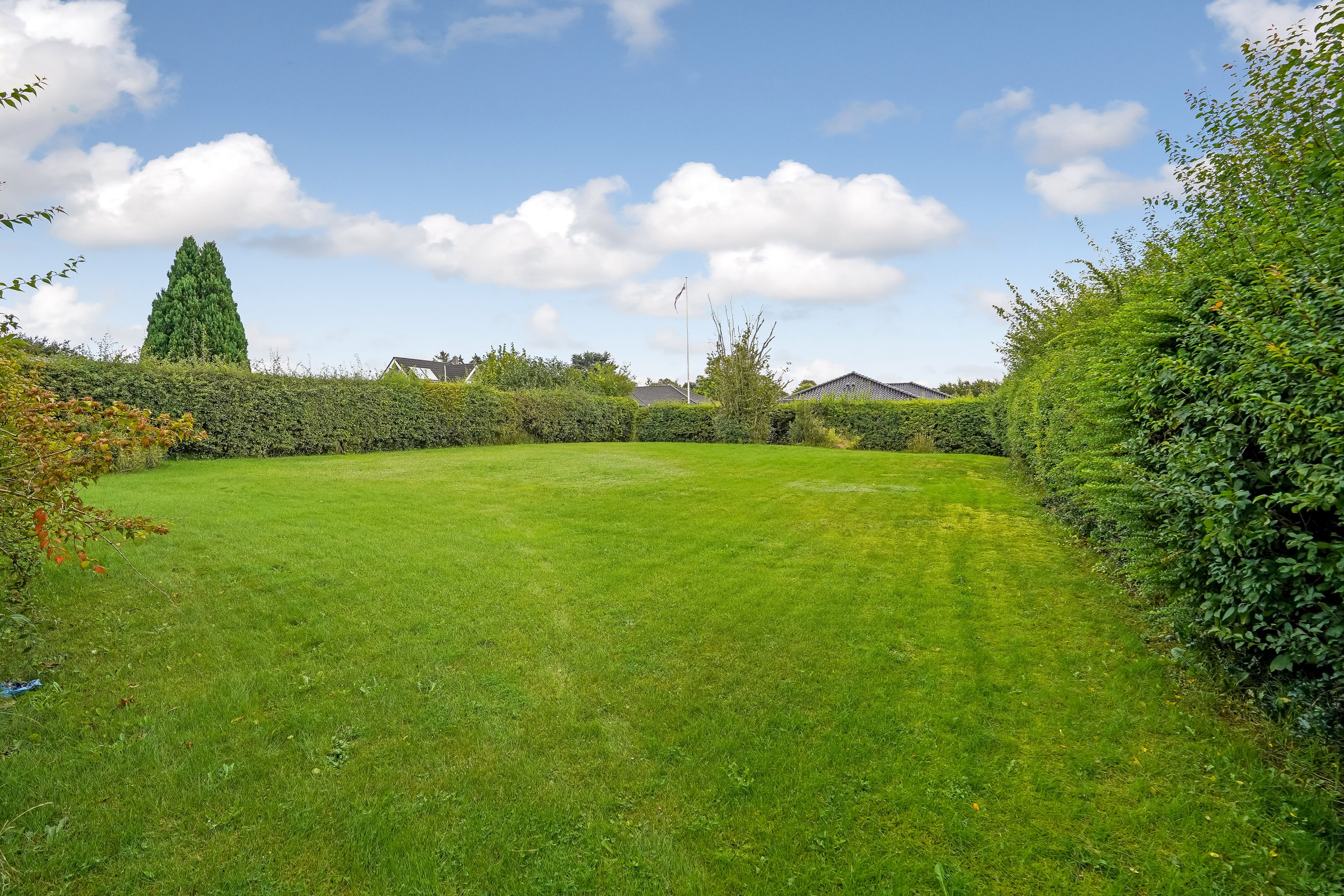 Fremhævet have billede i fuldskærmstilstand. Billede af Gelsted Mose 14, Gelsted Mose, 5591 Gelsted