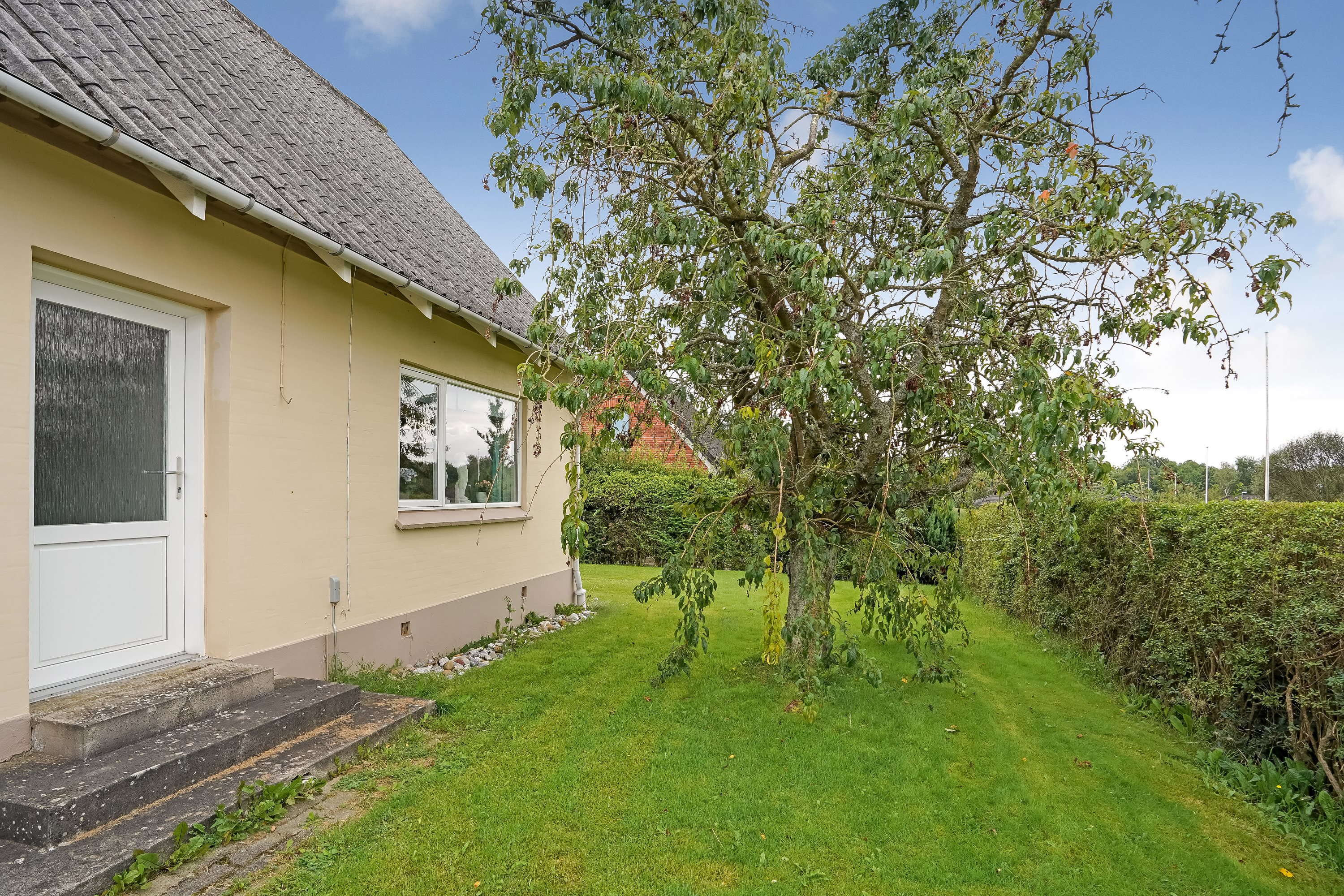 Fremhævet have billede i fuldskærmstilstand. Billede af Gelsted Mose 14, Gelsted Mose, 5591 Gelsted