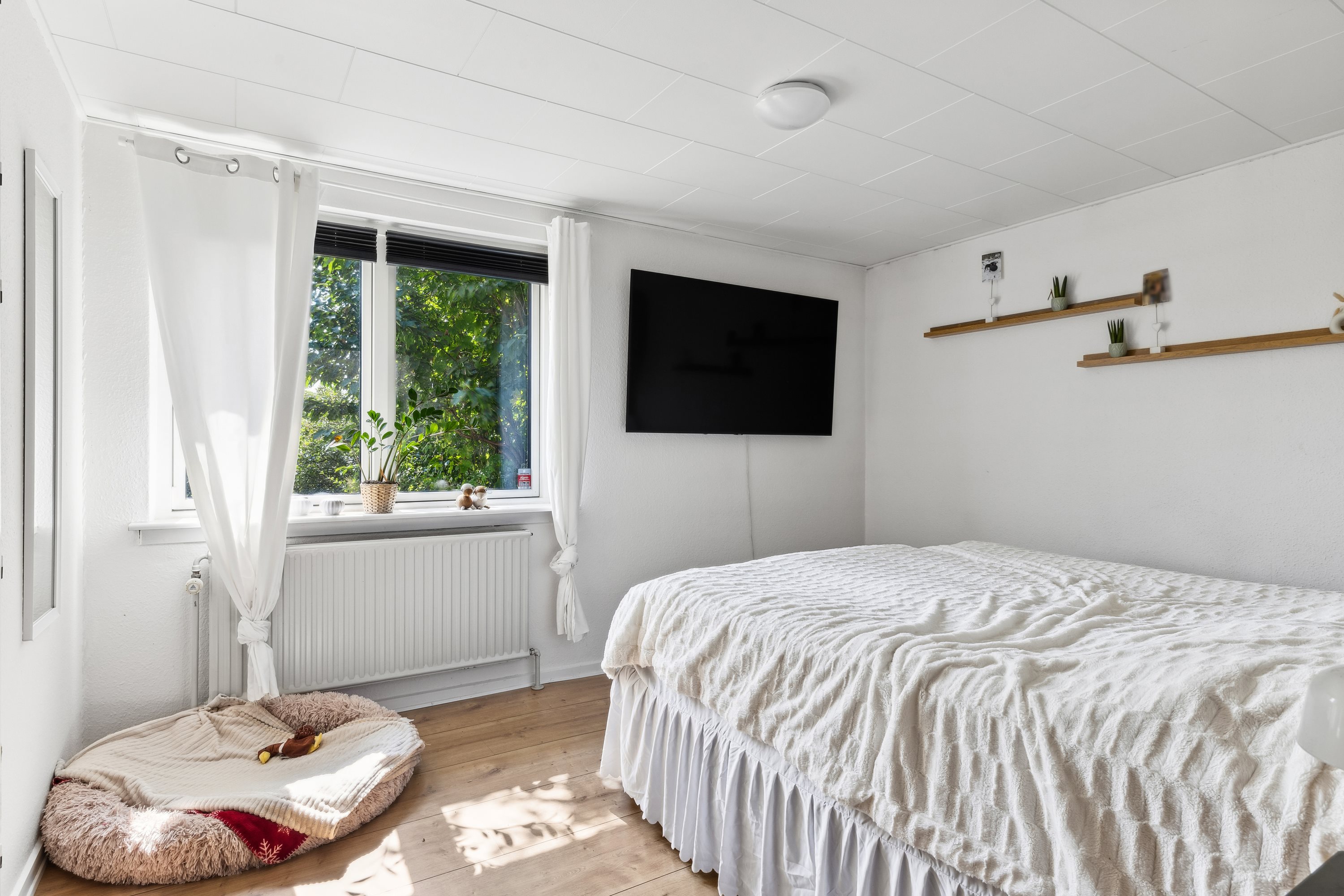 Fremhævet værelse billede i fuldskærmstilstand. Billede af Munkeparken 33, Vester Åby, 5600 Faaborg