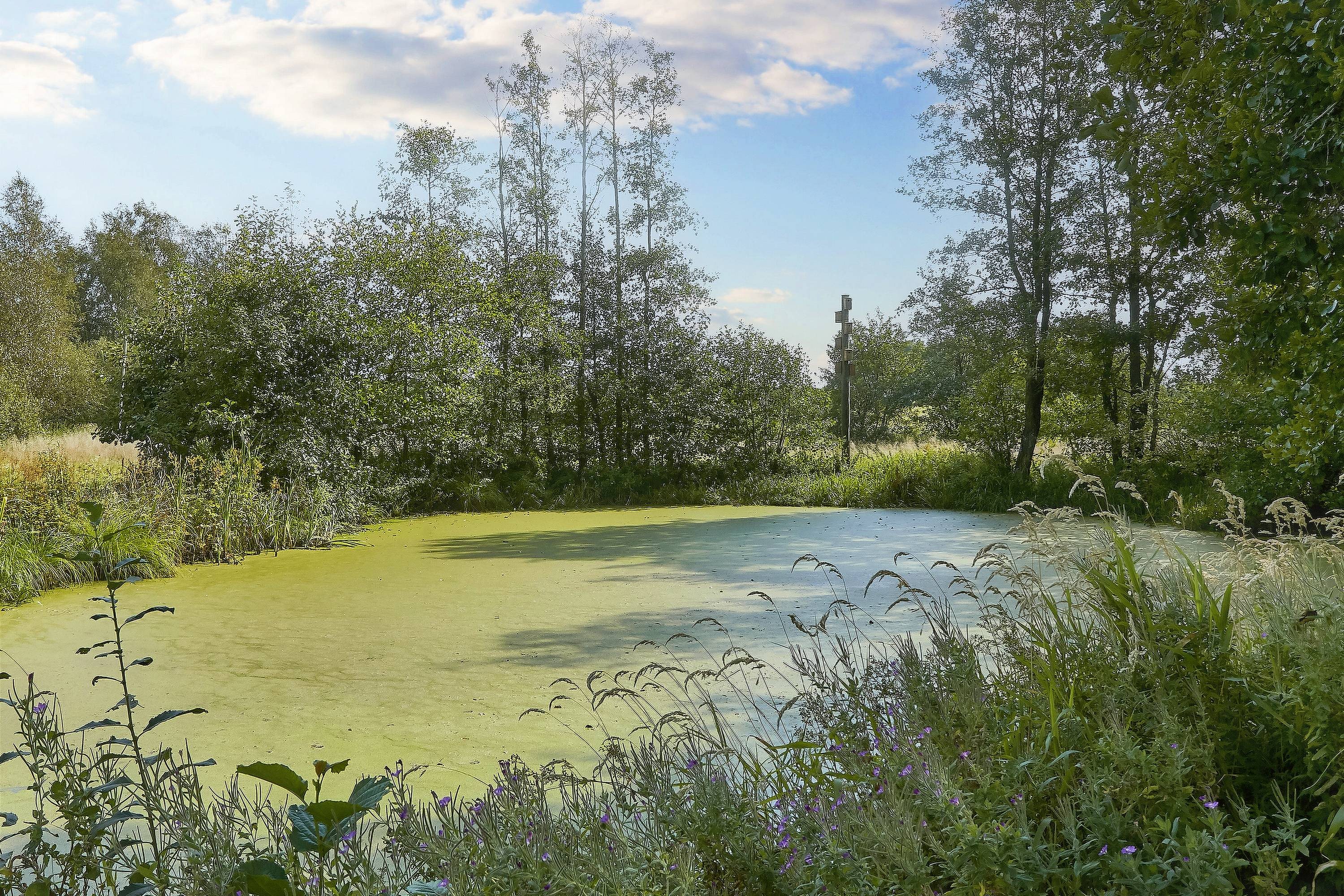 Fremhævet  billede i fuldskærmstilstand. Billede af Bækvej 95, 8700 Horsens