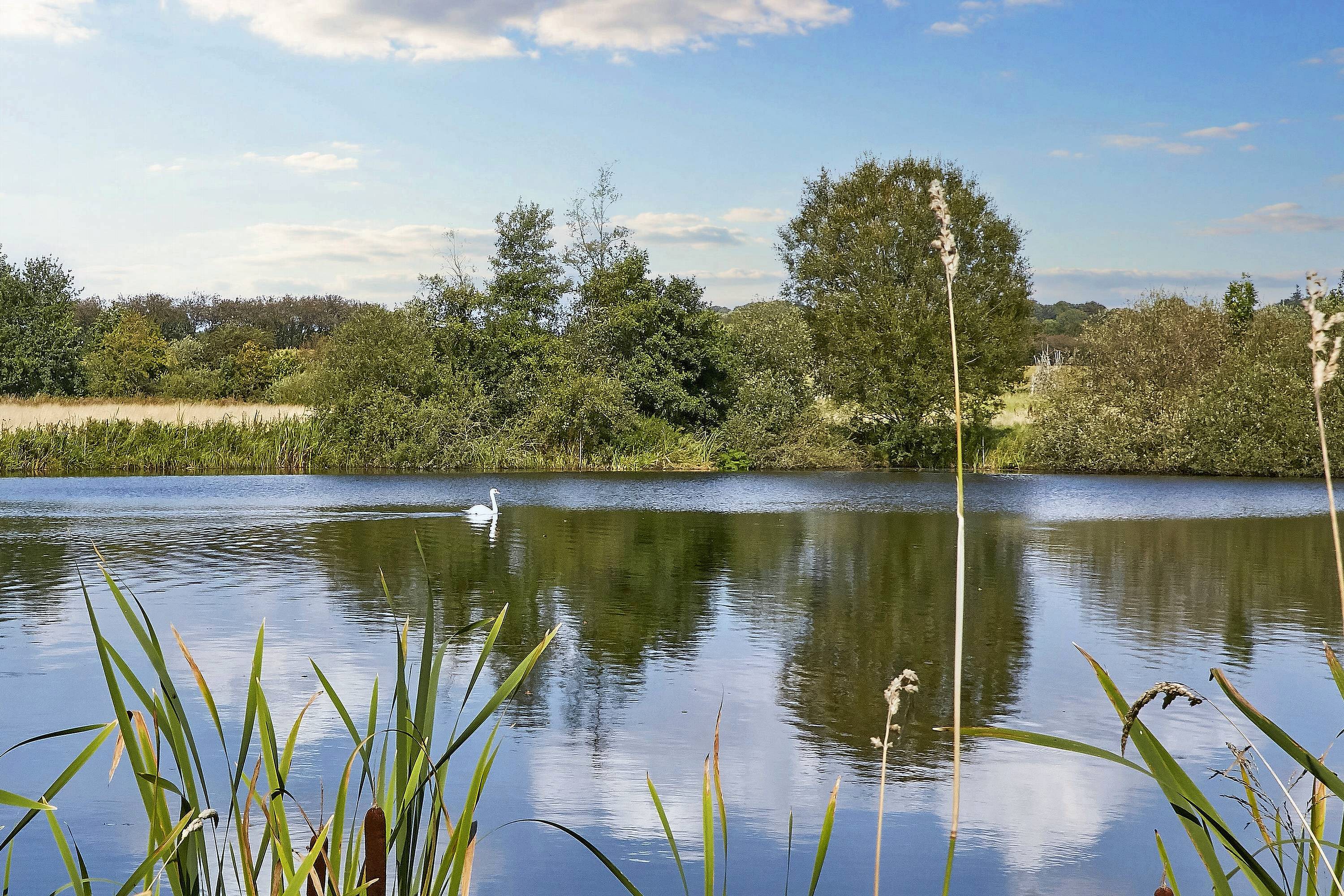 Fremhævet  billede i fuldskærmstilstand. Billede af Bækvej 95, 8700 Horsens