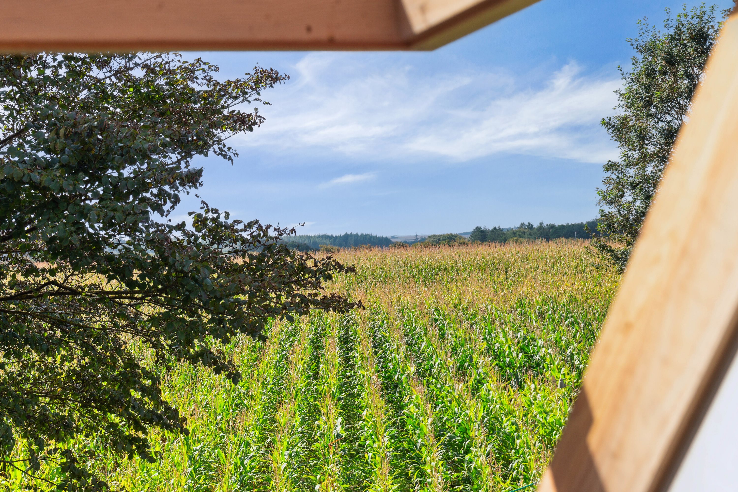 Fremhævet udsigt billede i fuldskærmstilstand. Billede af Tårnvej 60, Hørdum, 7752 Snedsted