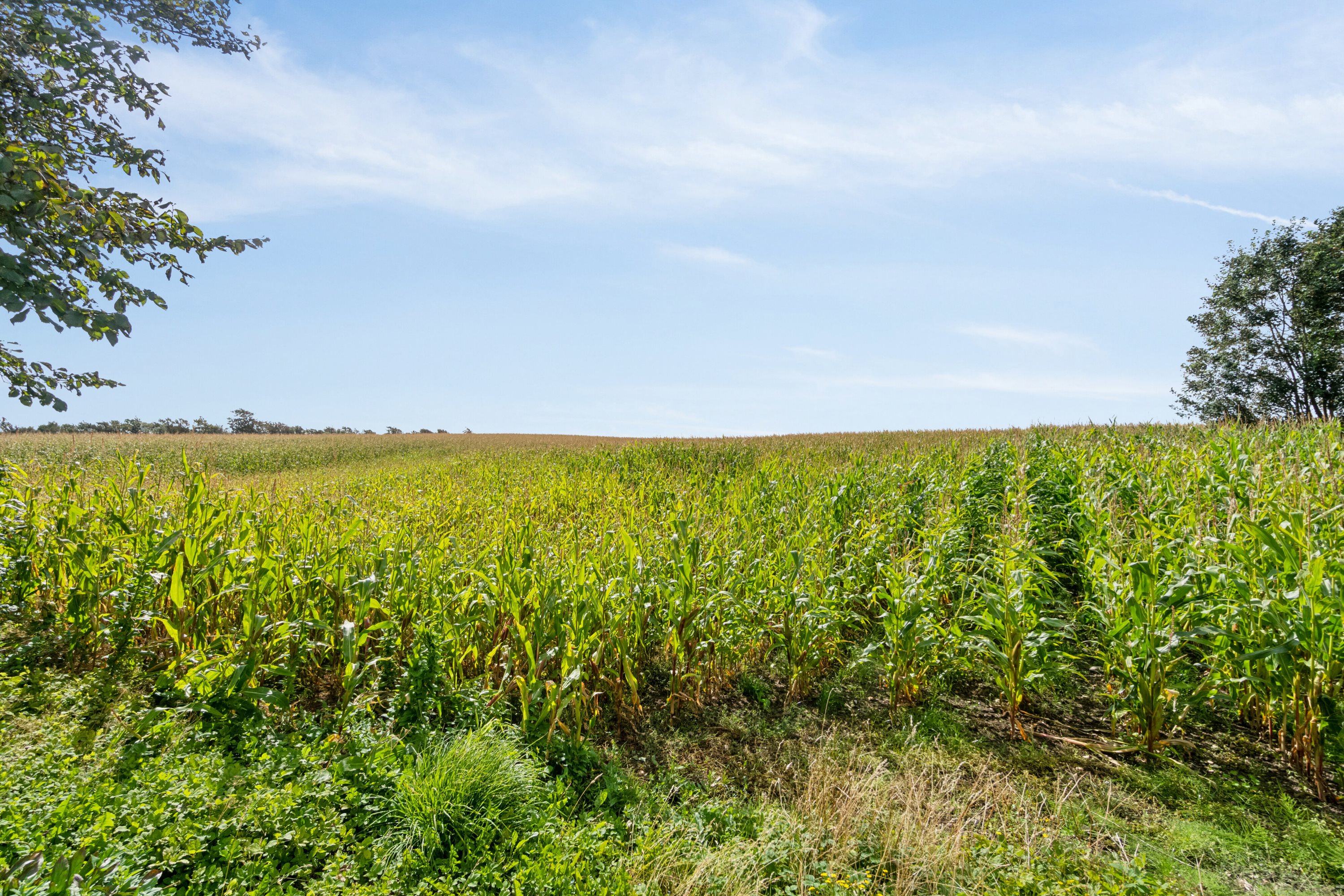 Fremhævet udendørs billede i fuldskærmstilstand. Billede af Tårnvej 60, Hørdum, 7752 Snedsted