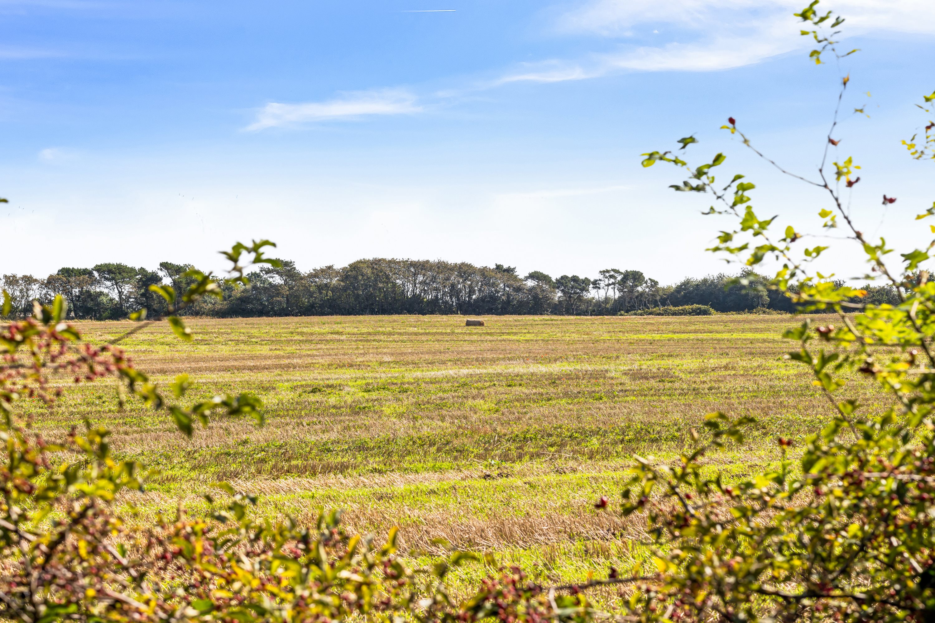 Fremhævet omgivelser billede i fuldskærmstilstand. Billede af Nedervej 29A, Mjels, 6430 Nordborg