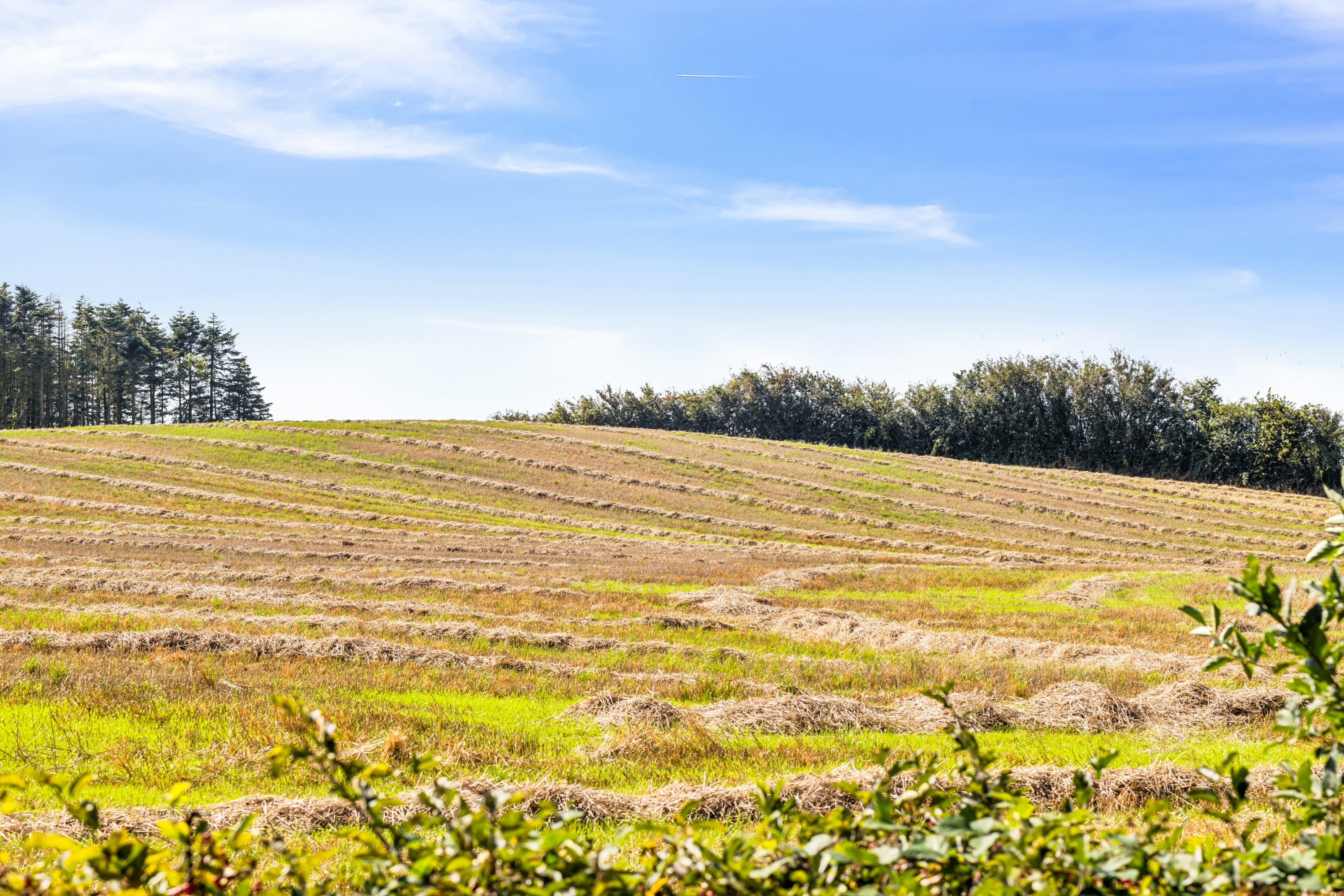 Fremhævet have billede i fuldskærmstilstand. Billede af Nedervej 29A, Mjels, 6430 Nordborg