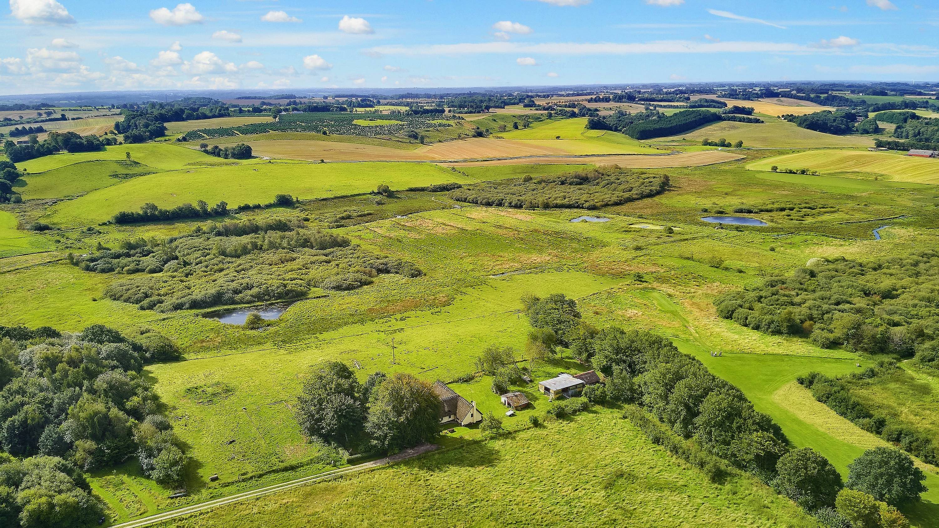 Fremhævet  billede i fuldskærmstilstand. Billede af Jelling Skovvej 3, 7300 Jelling