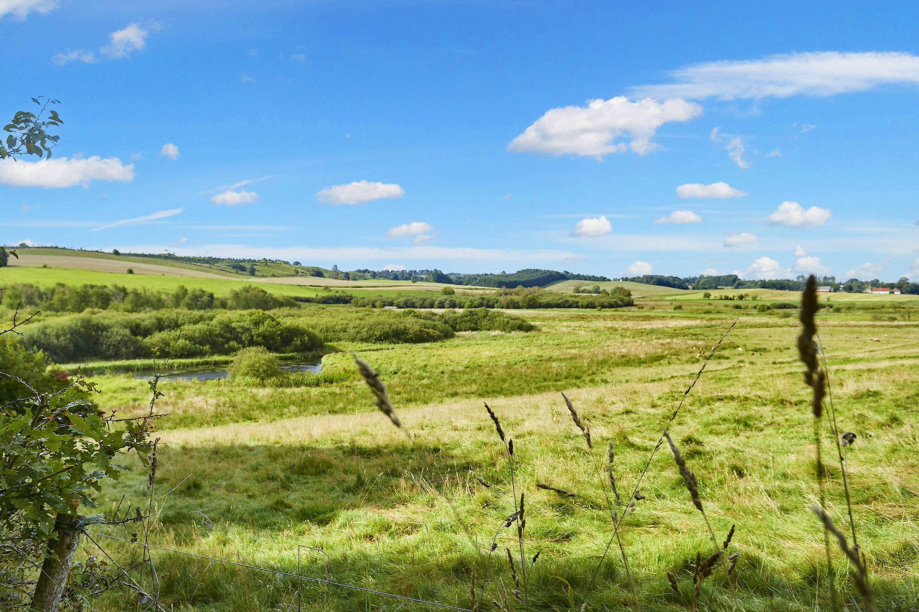 Fremhævet  billede i fuldskærmstilstand. Billede af Jelling Skovvej 3, 7300 Jelling