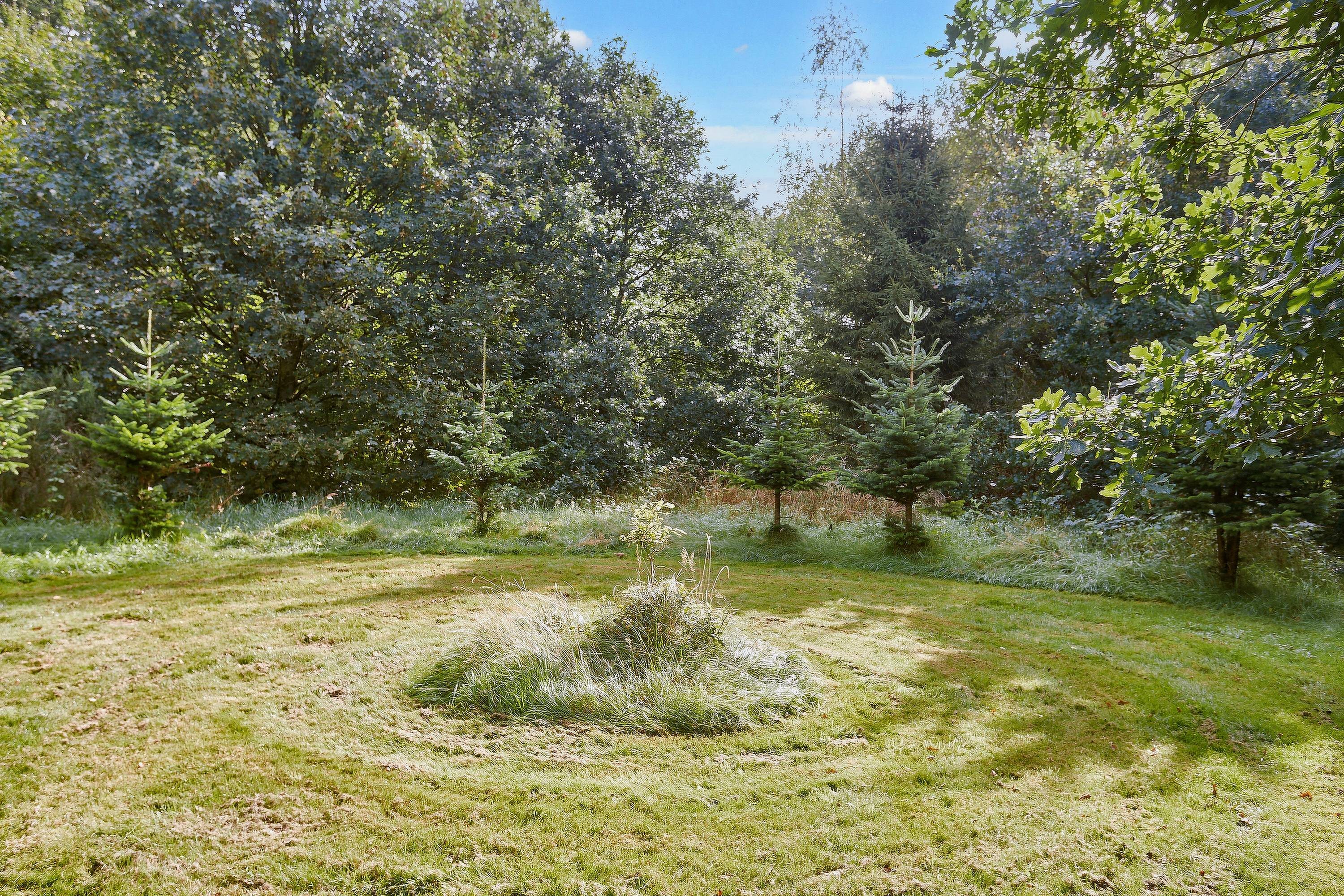 Fremhævet  billede i fuldskærmstilstand. Billede af Jelling Skovvej 3, 7300 Jelling