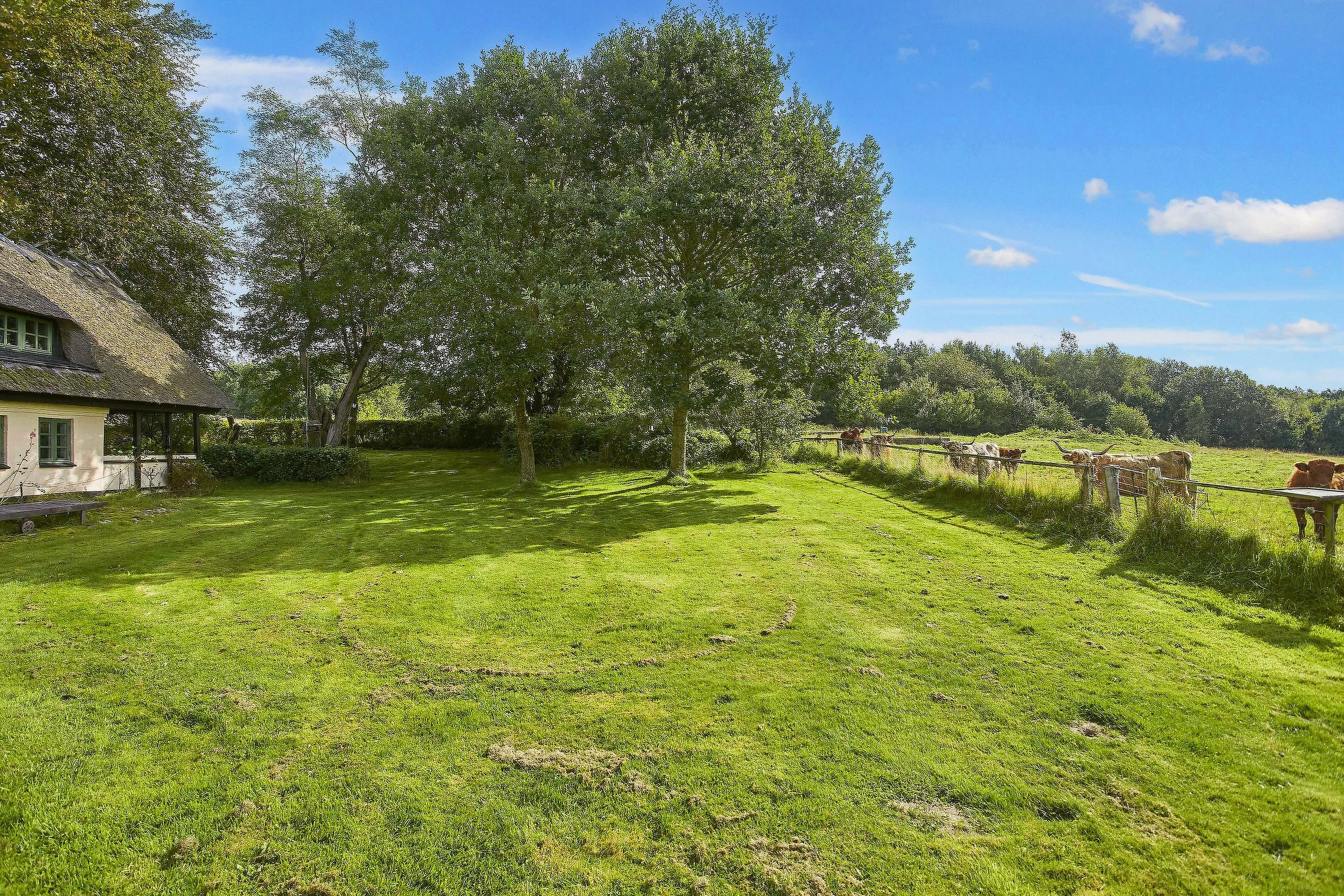 Fremhævet  billede i fuldskærmstilstand. Billede af Jelling Skovvej 3, 7300 Jelling