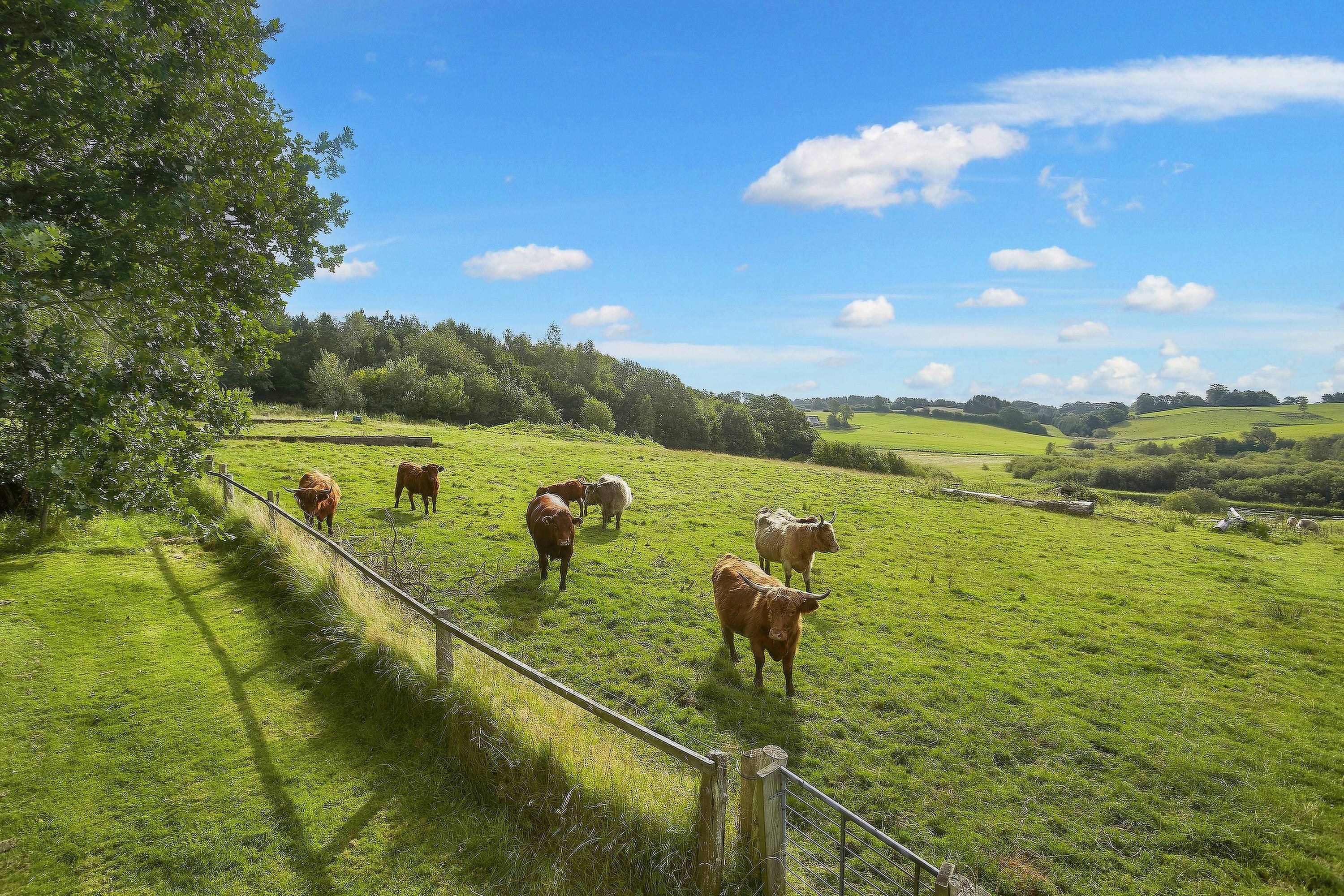 Fremhævet  billede i fuldskærmstilstand. Billede af Jelling Skovvej 3, 7300 Jelling