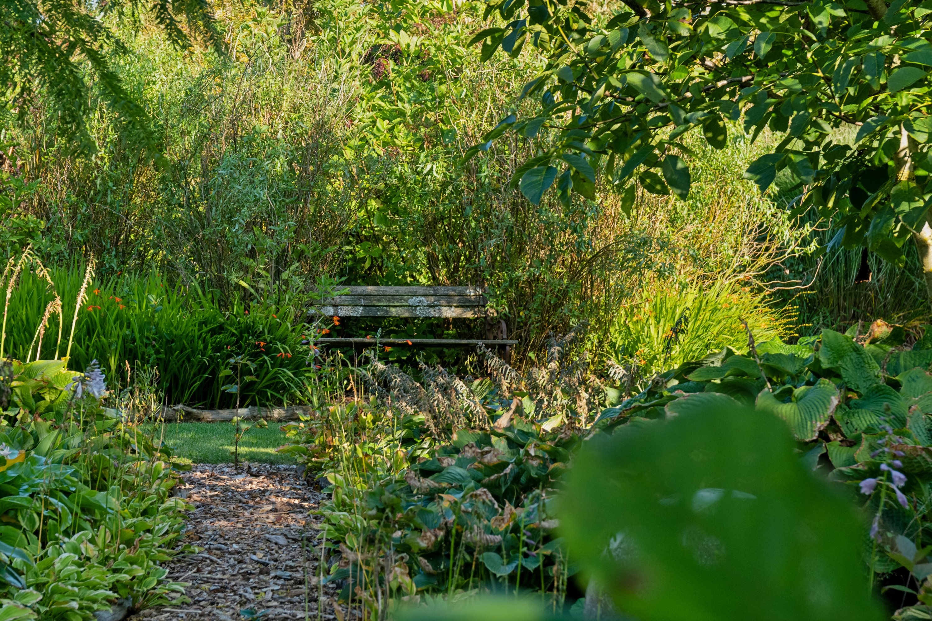 Fremhævet udendørs billede i fuldskærmstilstand. Billede af Harring Bro Vej 11, Harring, 7752 Snedsted
