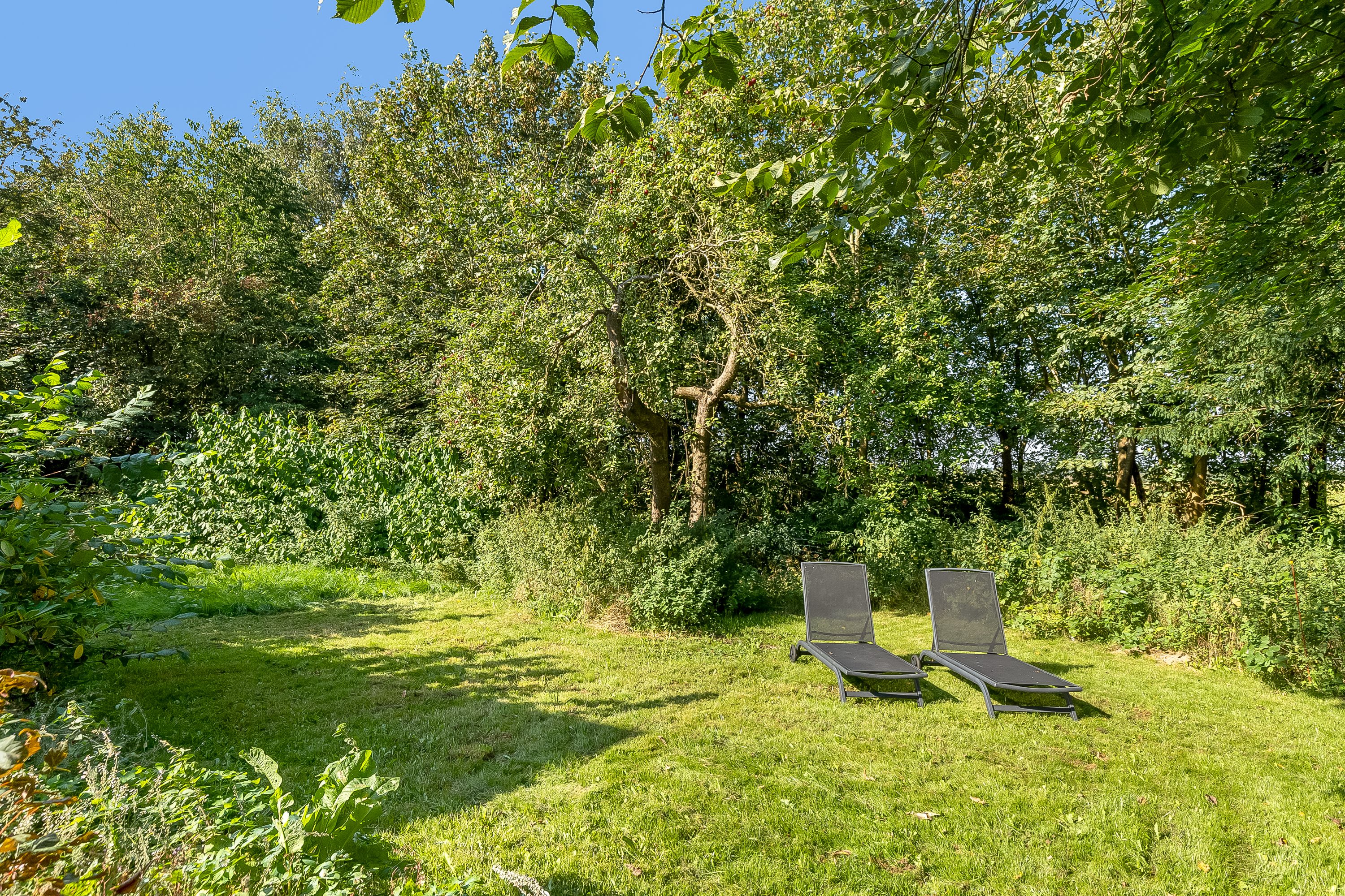 Fremhævet have billede i fuldskærmstilstand. Billede af Lillevej 3, Bastrup, 6580 Vamdrup