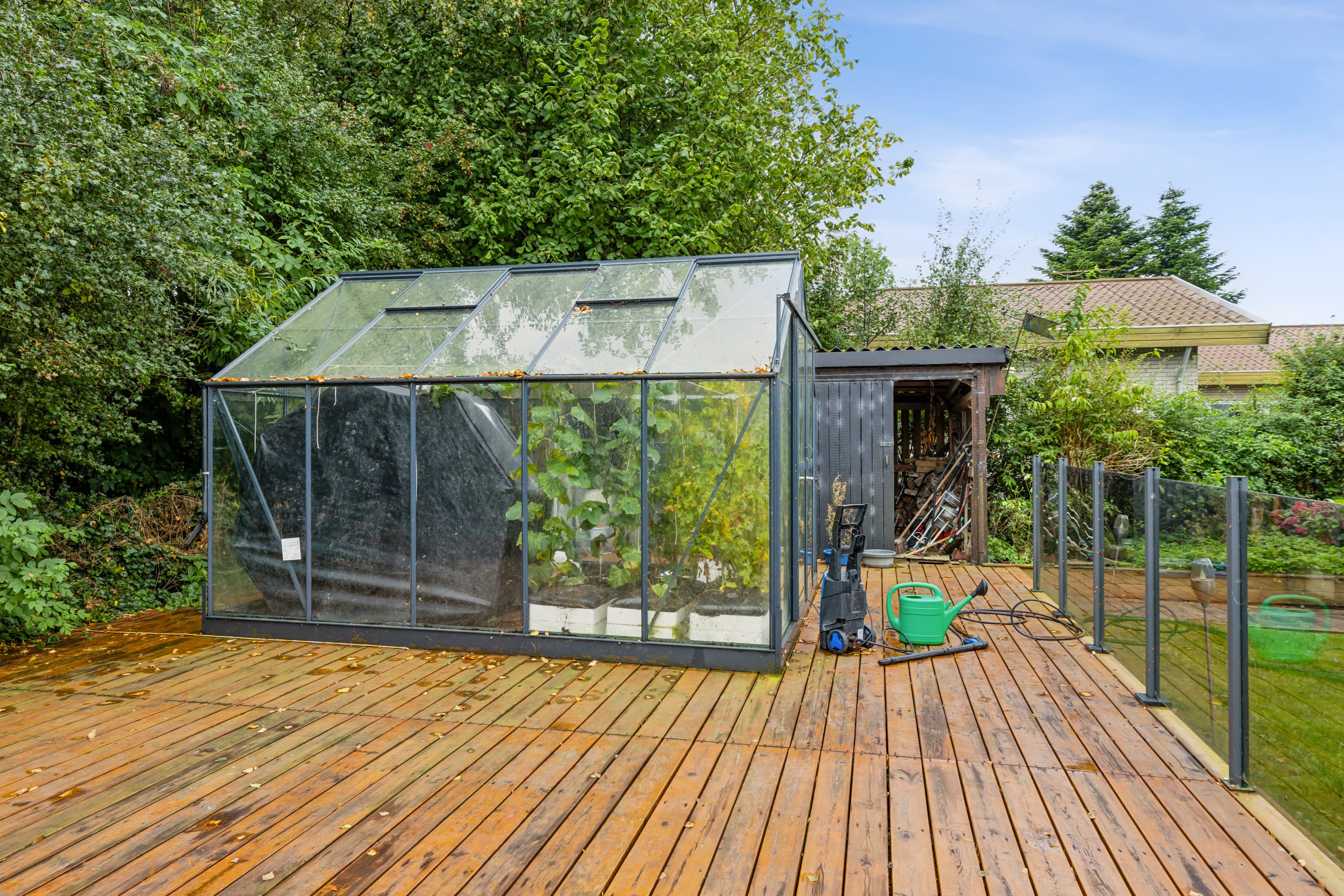 Fremhævet have billede i fuldskærmstilstand. Billede af Hjørnet 10, Mjels, 6430 Nordborg