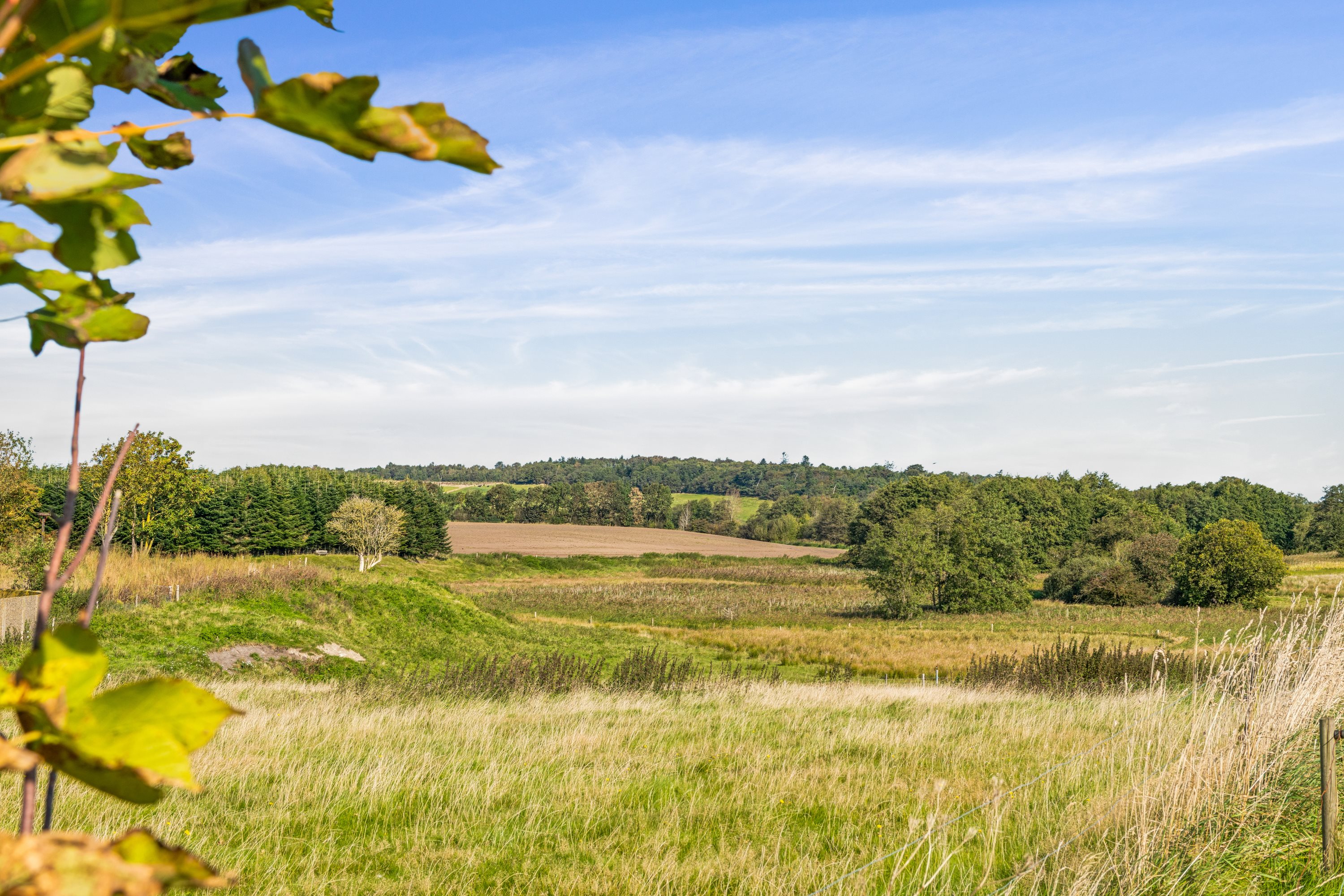 Fremhævet have billede i fuldskærmstilstand. Billede af Sandvej 1, Vokslev, 9240 Nibe