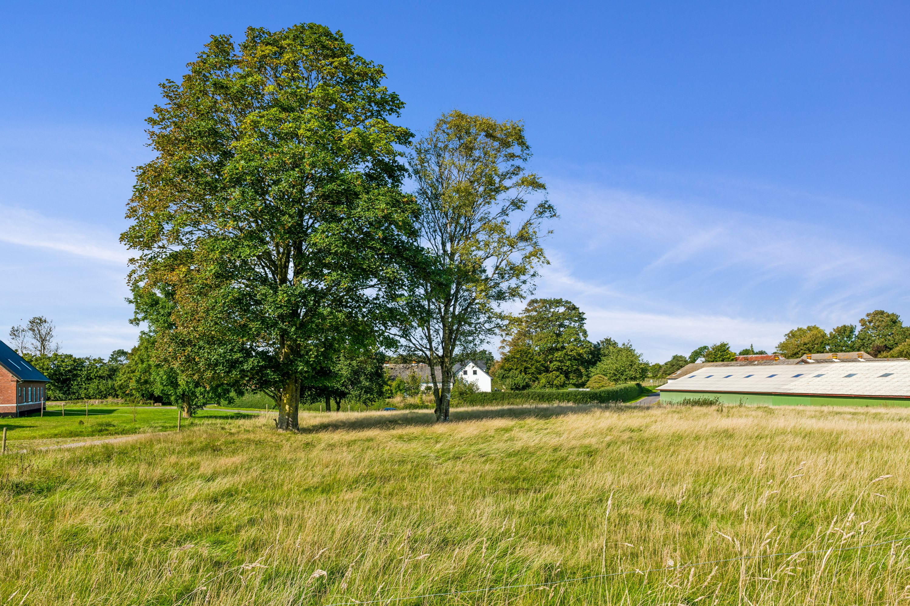 Miniaturebillede 2: have. Billede af Sandvej 1, Vokslev, 9240 Nibe