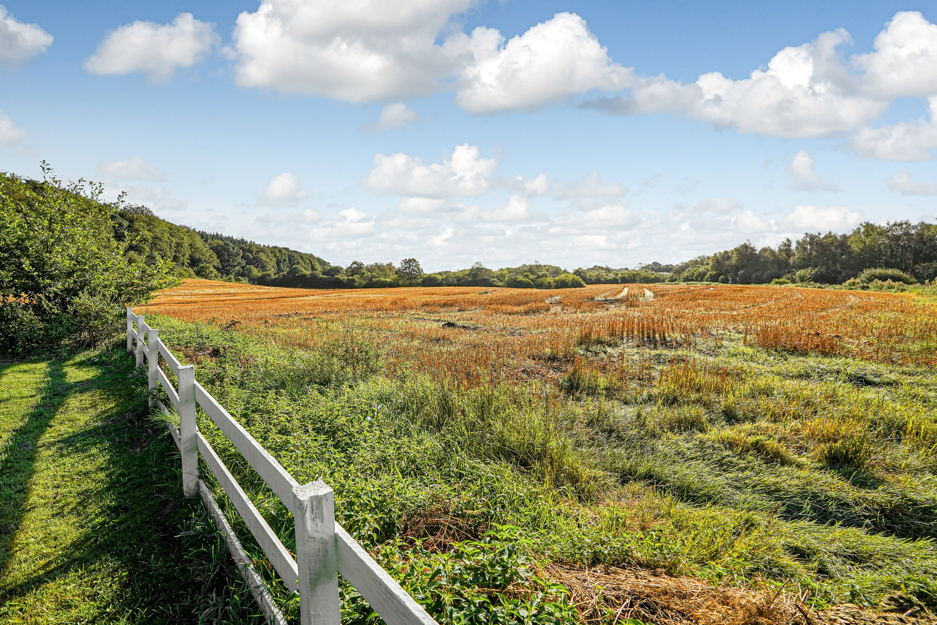 Fremhævet område billede i fuldskærmstilstand. Billede af Raskvej 50, 8763 Rask Mølle