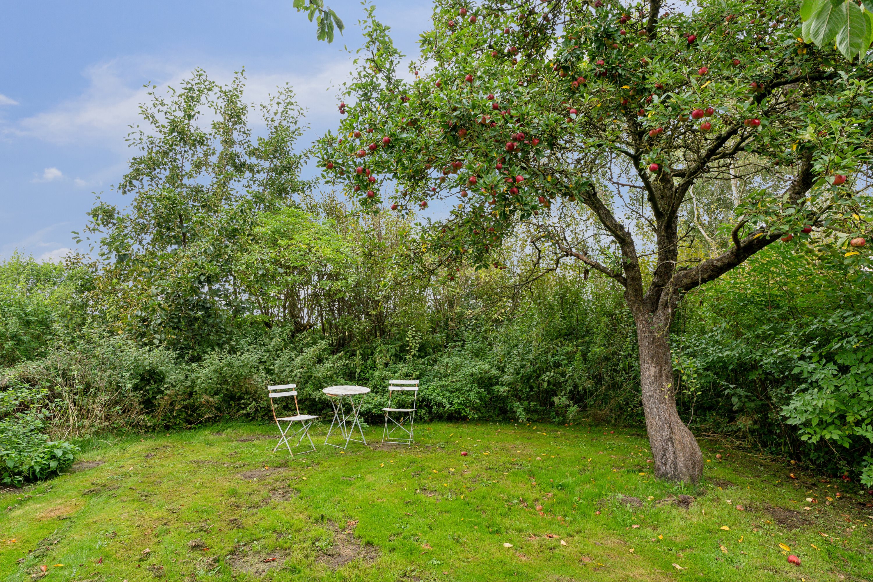 Fremhævet set fra haven billede i fuldskærmstilstand. Billede af Elsborgvej 24, Sjørslev, 8620 Kjellerup