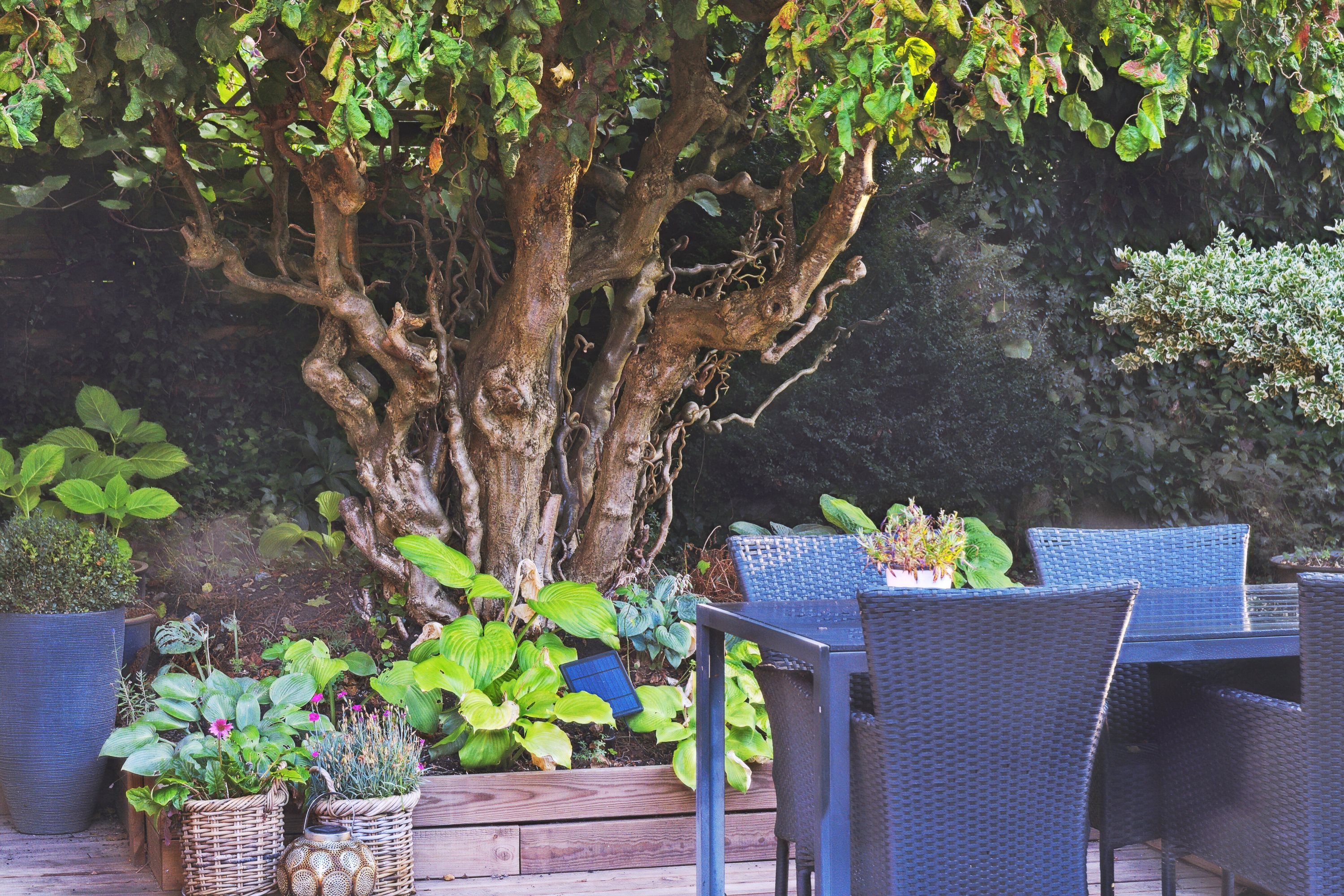 Fremhævet terrasse billede i fuldskærmstilstand. Billede af Bonderupvej 11, 4350 Ugerløse