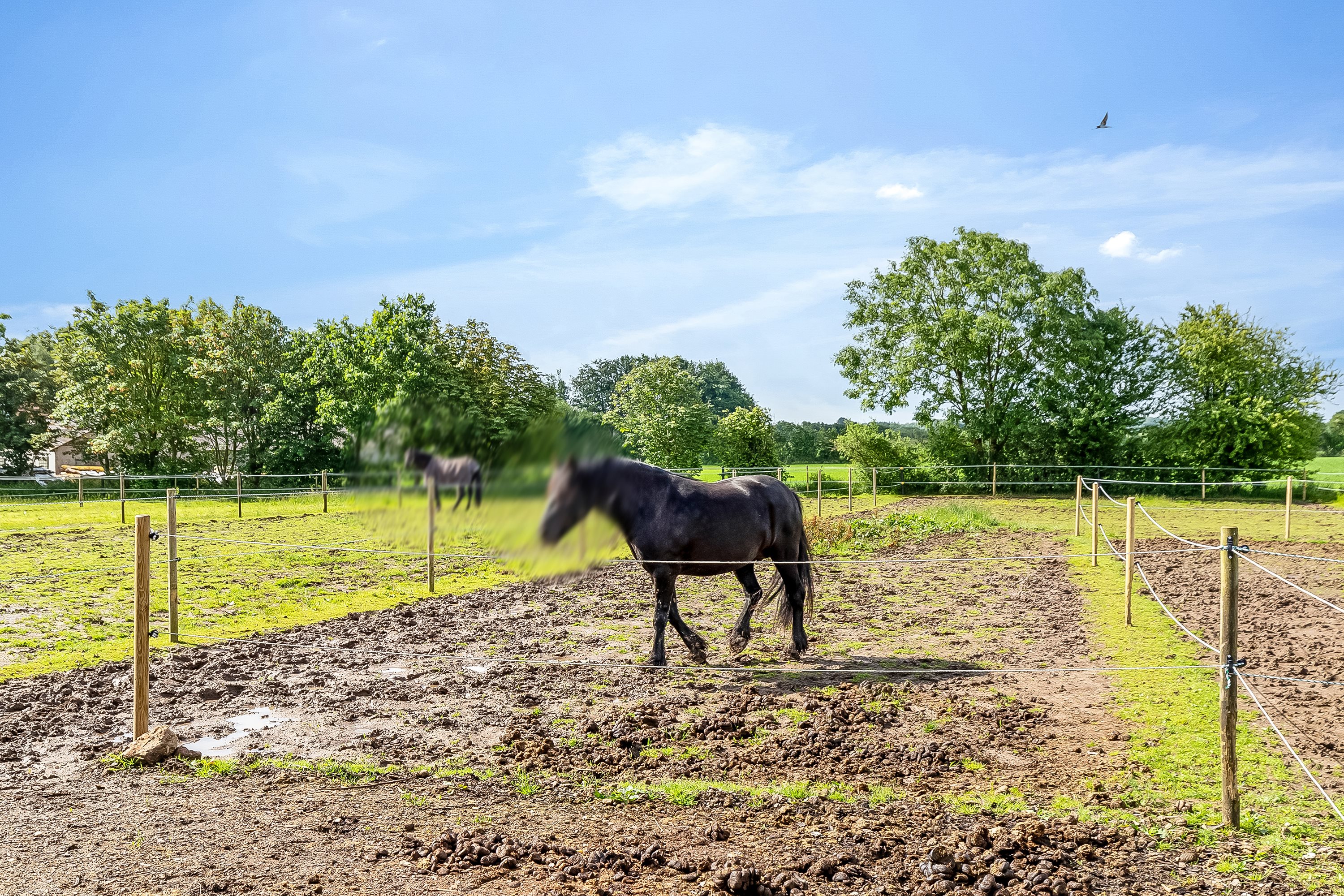 Fremhævet andet billede i fuldskærmstilstand. Billede af Lindskovvej 6, L. Velling, 7000 Fredericia
