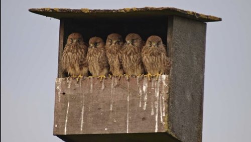 Fremhævet  billede i fuldskærmstilstand. Billede af Tingvejen 57, 4400 Kalundborg