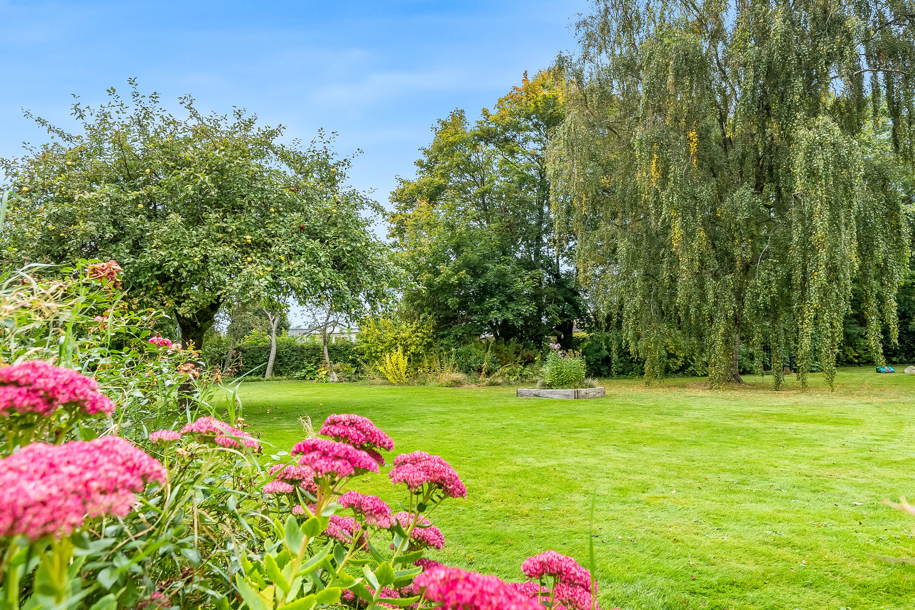 Fremhævet have billede i fuldskærmstilstand. Billede af Ny Østerbyvej 3, 6580 Vamdrup