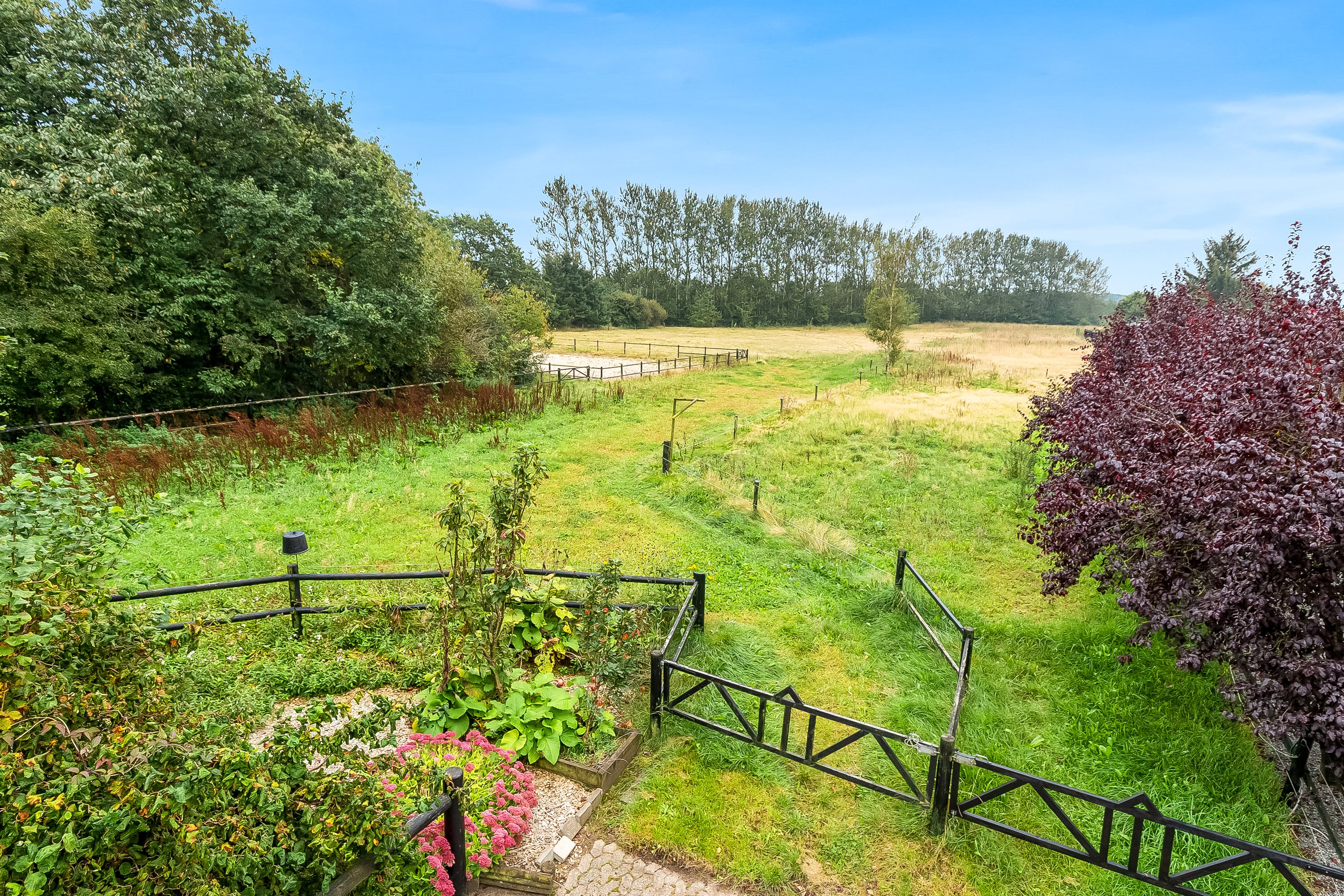 Fremhævet hestefold billede i fuldskærmstilstand. Billede af Ny Østerbyvej 3, 6580 Vamdrup