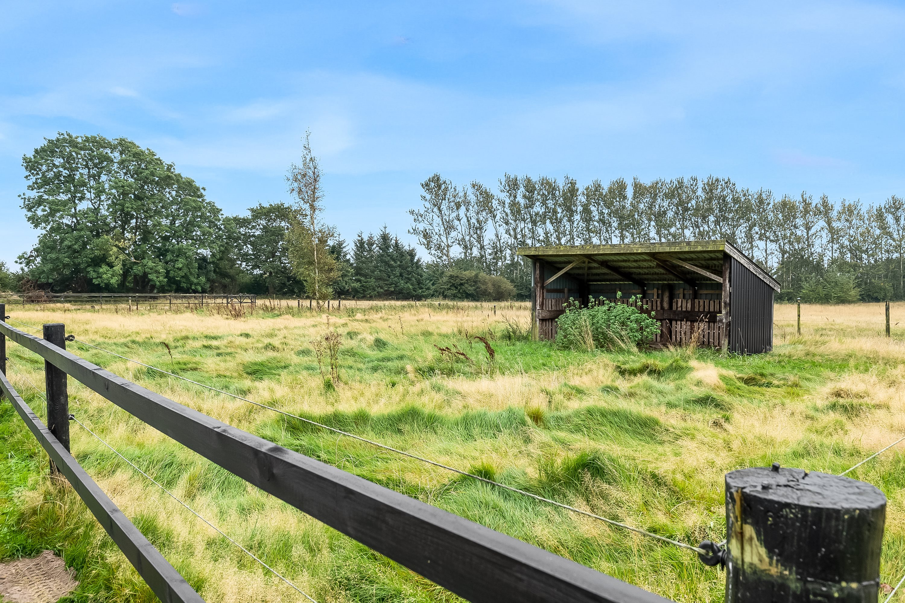 Fremhævet hestefold billede i fuldskærmstilstand. Billede af Ny Østerbyvej 3, 6580 Vamdrup