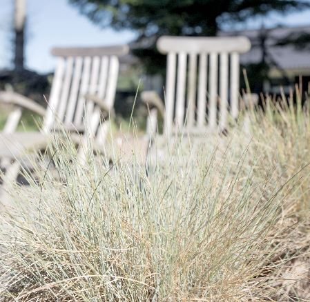 Fremhævet  billede i fuldskærmstilstand. Billede af Lysningen 26, 9492 Blokhus 