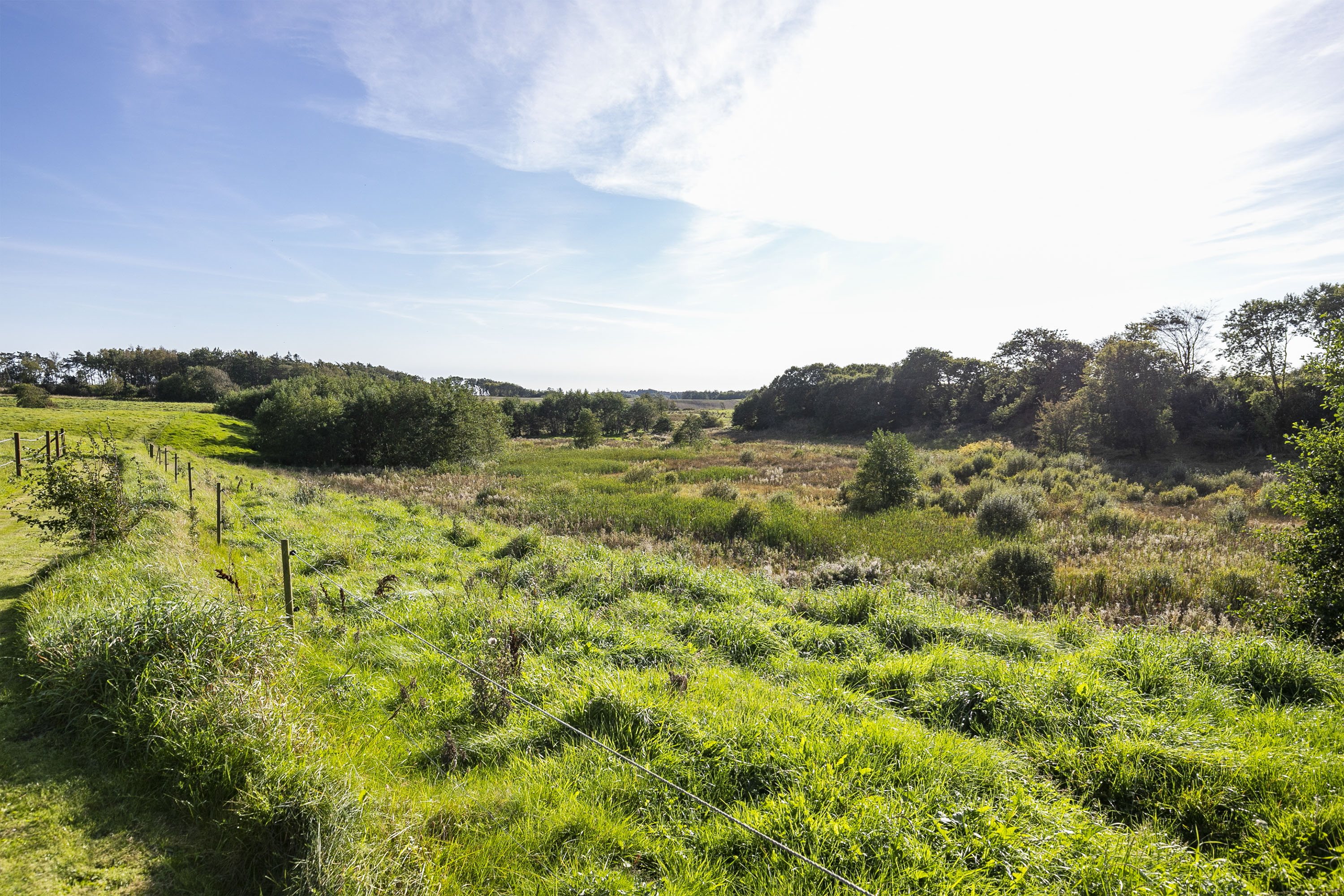 Fremhævet grunden billede i fuldskærmstilstand. Billede af Halkærvej 91, Skørbæk, 9240 Nibe