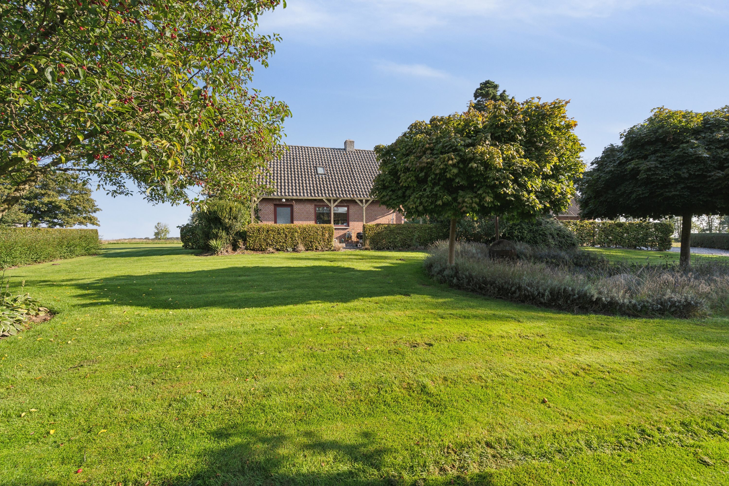 Fremhævet set fra haven billede i fuldskærmstilstand. Billede af Fælledgårdsvej 15, Egeby, 5450 Otterup