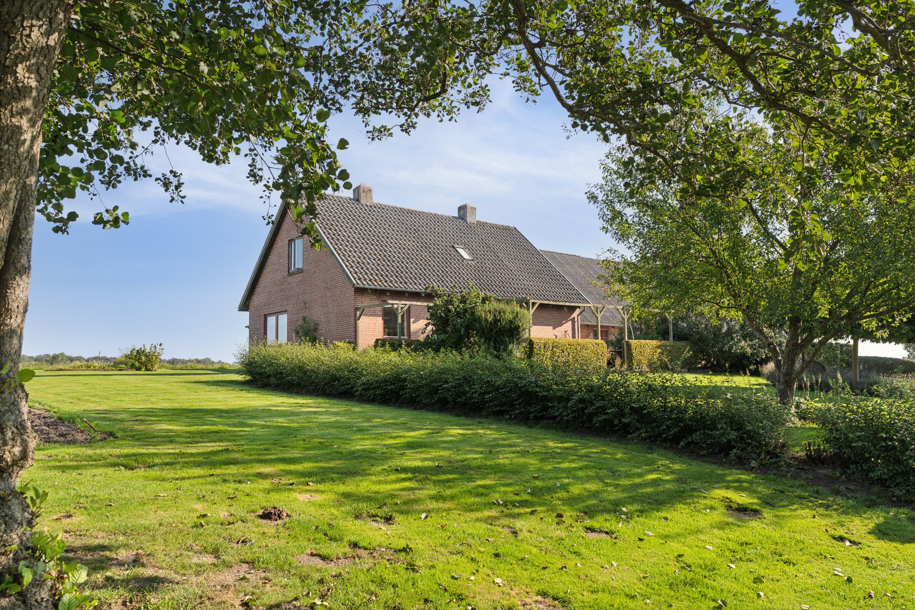 Fremhævet set fra haven billede i fuldskærmstilstand. Billede af Fælledgårdsvej 15, Egeby, 5450 Otterup