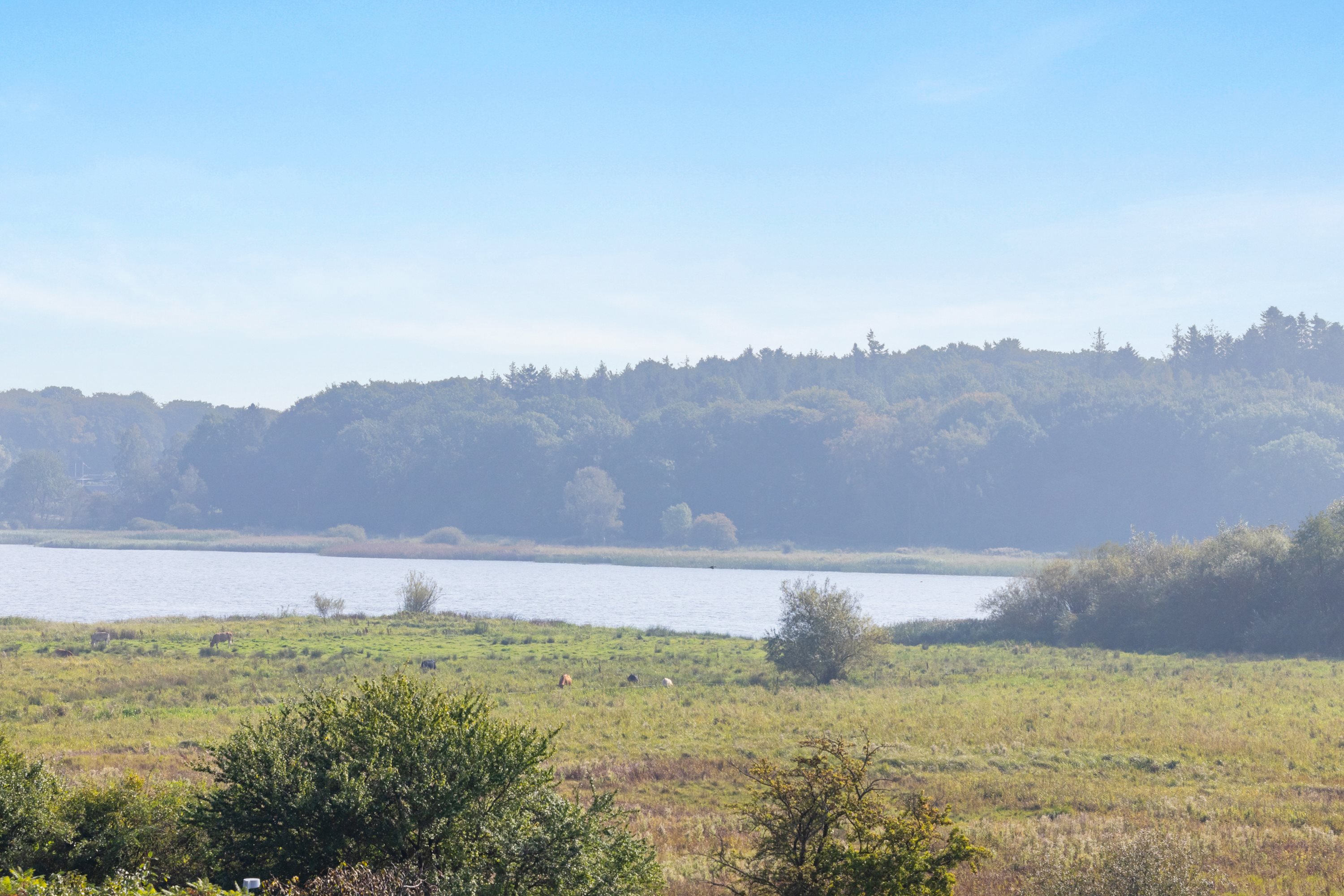 Fremhævet  billede i fuldskærmstilstand. Billede af Hougårdsvej 54, 2. tv., 8220 Brabrand