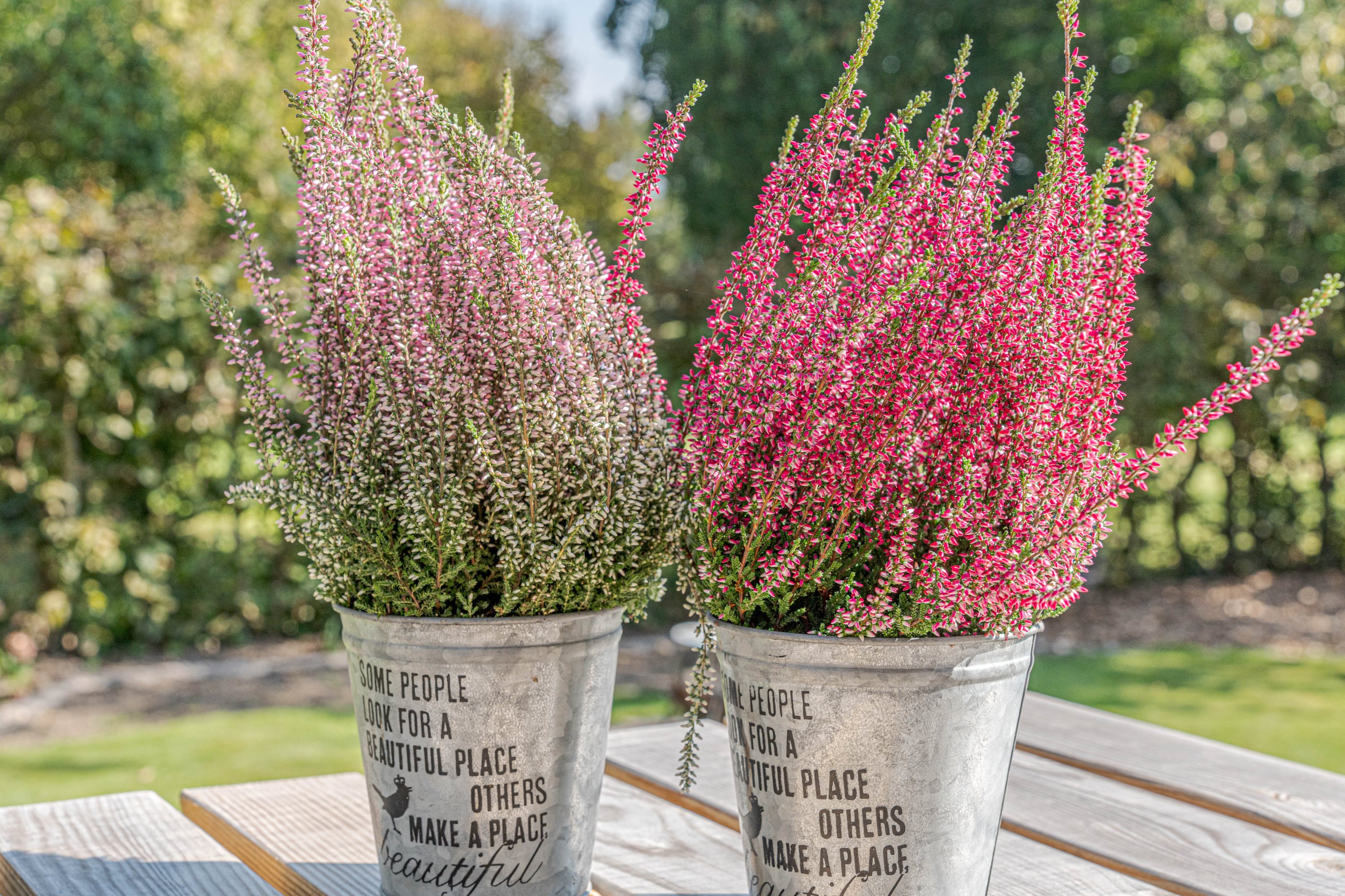 Fremhævet  billede i fuldskærmstilstand. Billede af Birkevej 3, 5620 Glamsbjerg