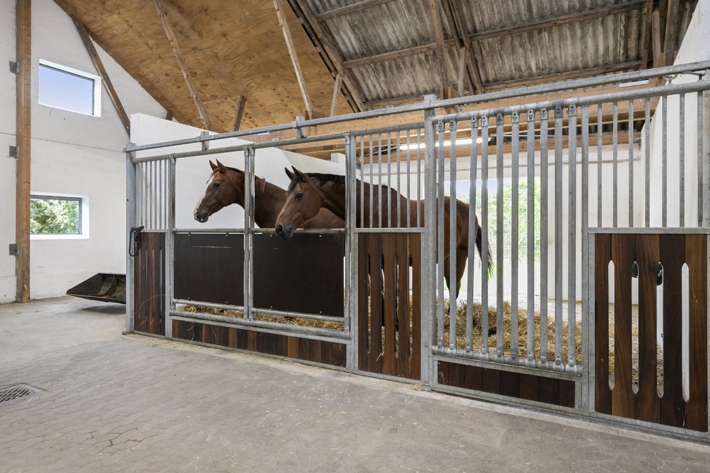 Fremhævet stald billede i fuldskærmstilstand. Billede af Halkærvej 91, Skørbæk, 9240 Nibe