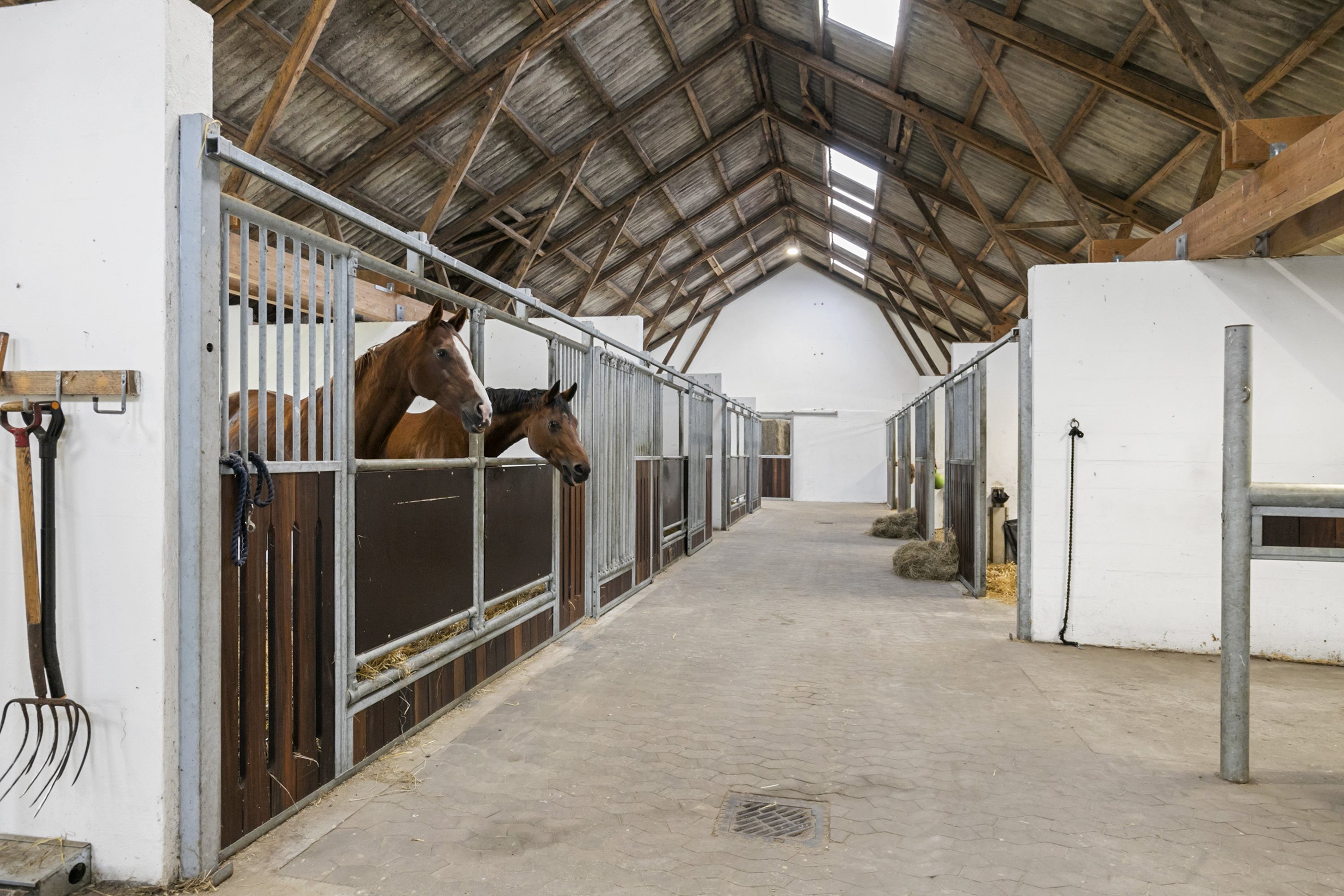 Miniaturebillede 2: stald. Billede af Halkærvej 91, Skørbæk, 9240 Nibe