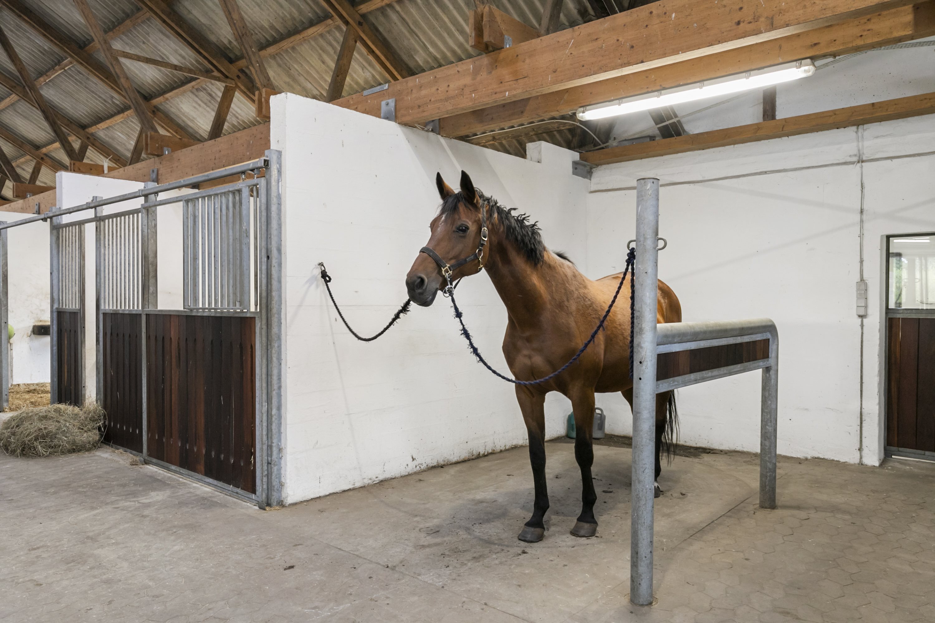 Fremhævet stald billede i fuldskærmstilstand. Billede af Halkærvej 91, Skørbæk, 9240 Nibe