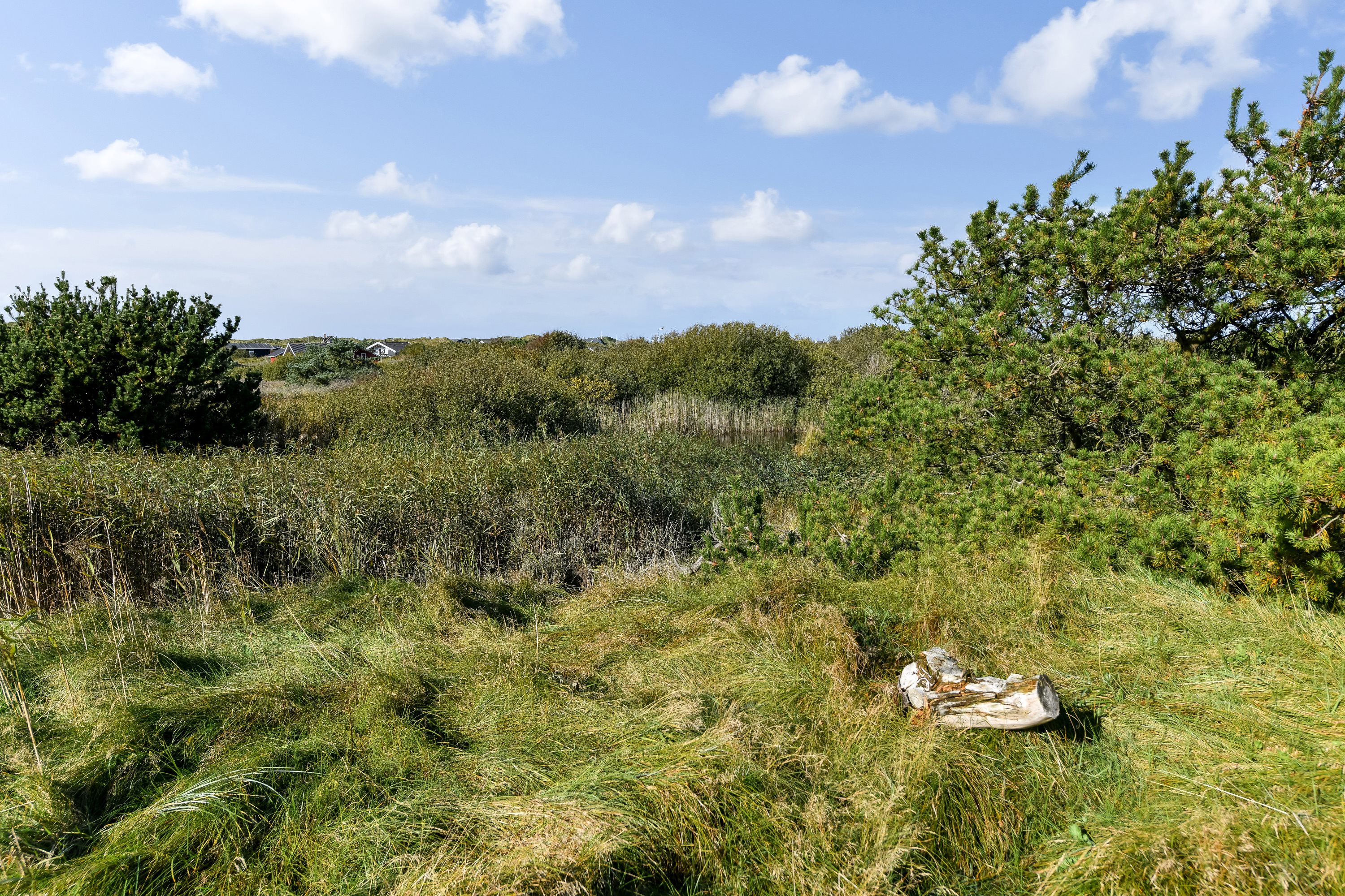 Fremhævet grunden billede i fuldskærmstilstand. Billede af Paradisvej 52, Rindby Strand, 6720 Fanø